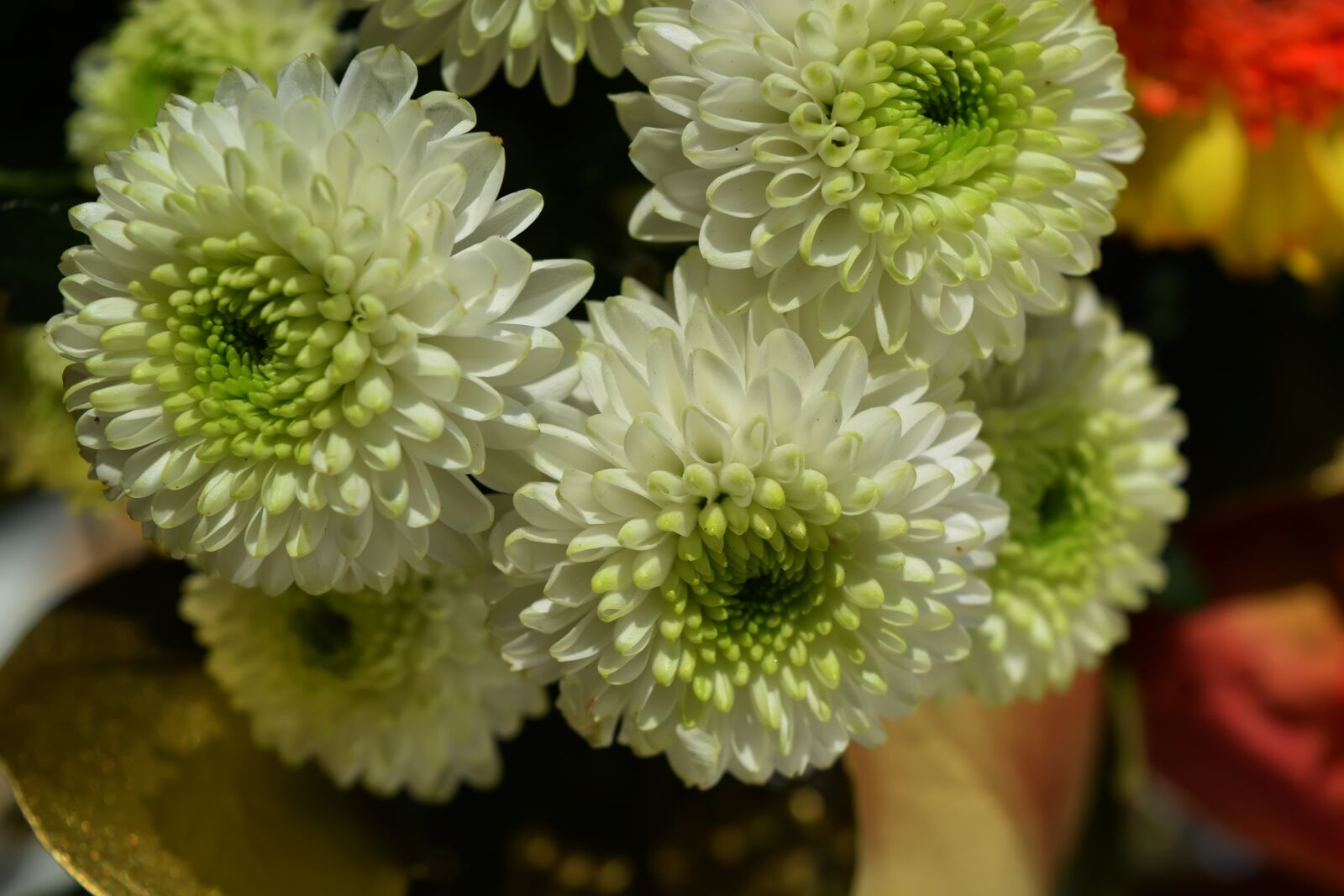 Nikon D5200 sample photo. Autumn, bouquet, flowers photography
