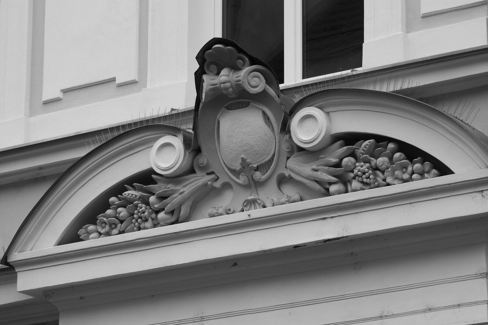 Nikon Coolpix P610 sample photo. Relief, front, coat of photography
