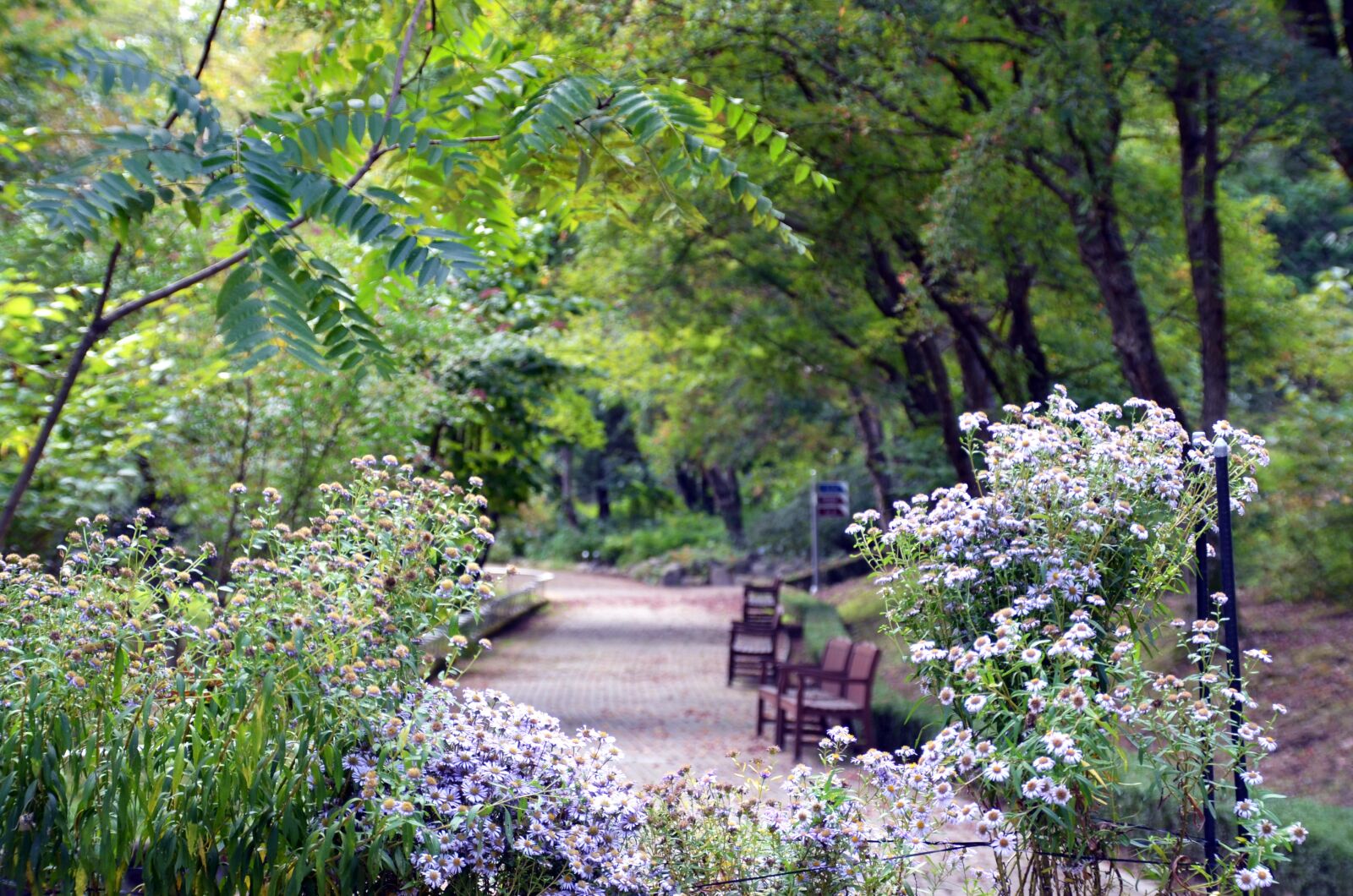 Nikon D7000 sample photo. Landscape, arboretum, nature photography