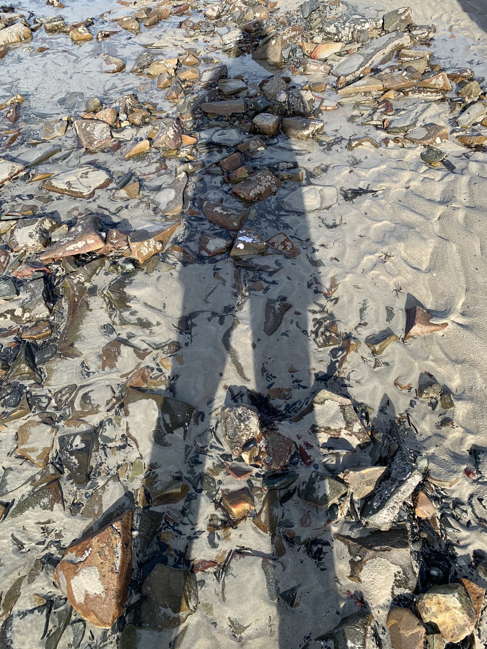 Apple iPhone XR sample photo. Shadow, beach, water photography