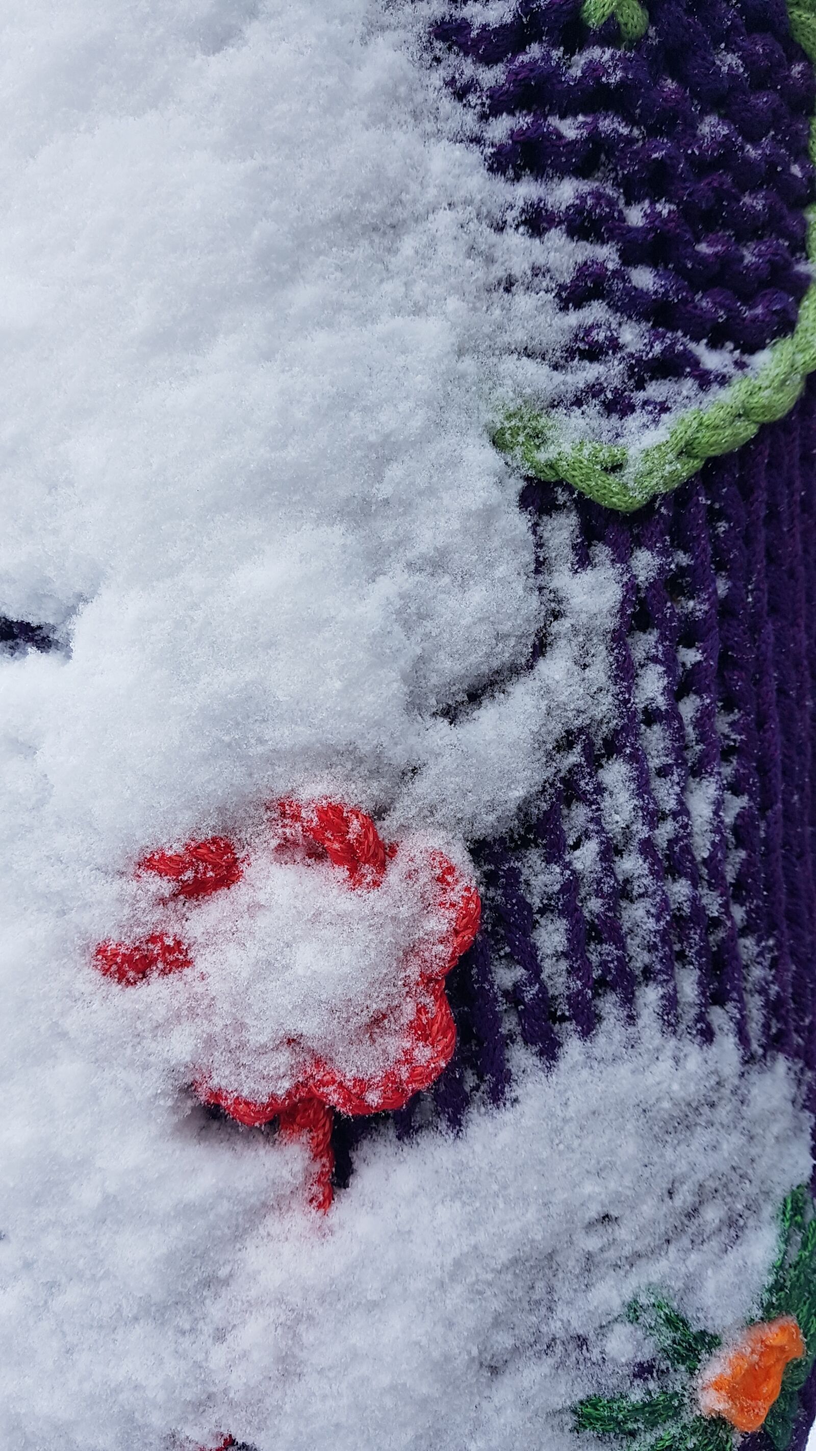 Samsung Galaxy Note Fan Edition sample photo. Snow, flower, winter photography
