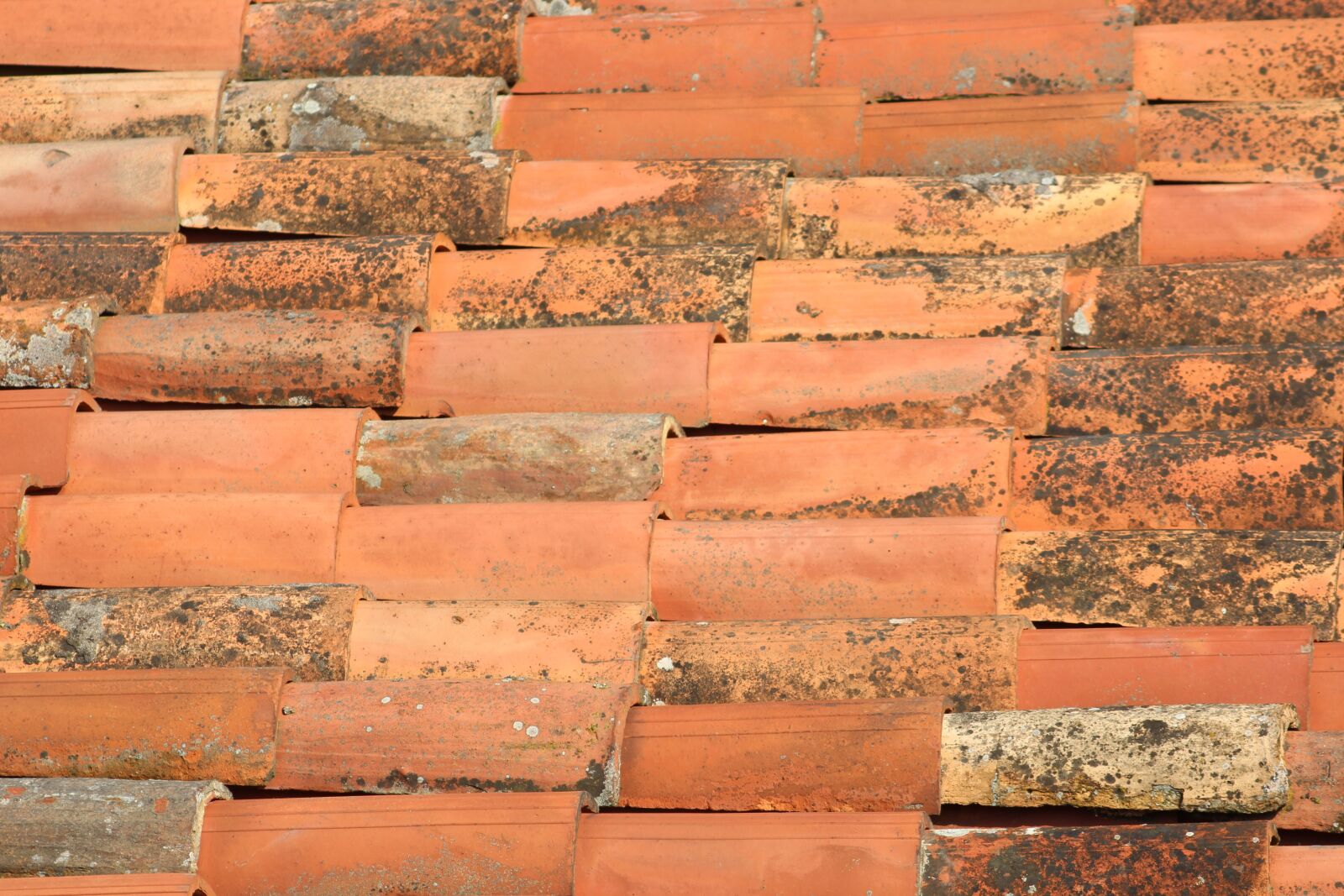 Canon EF75-300mm f/4-5.6 sample photo. Tiles, terracotta, house photography