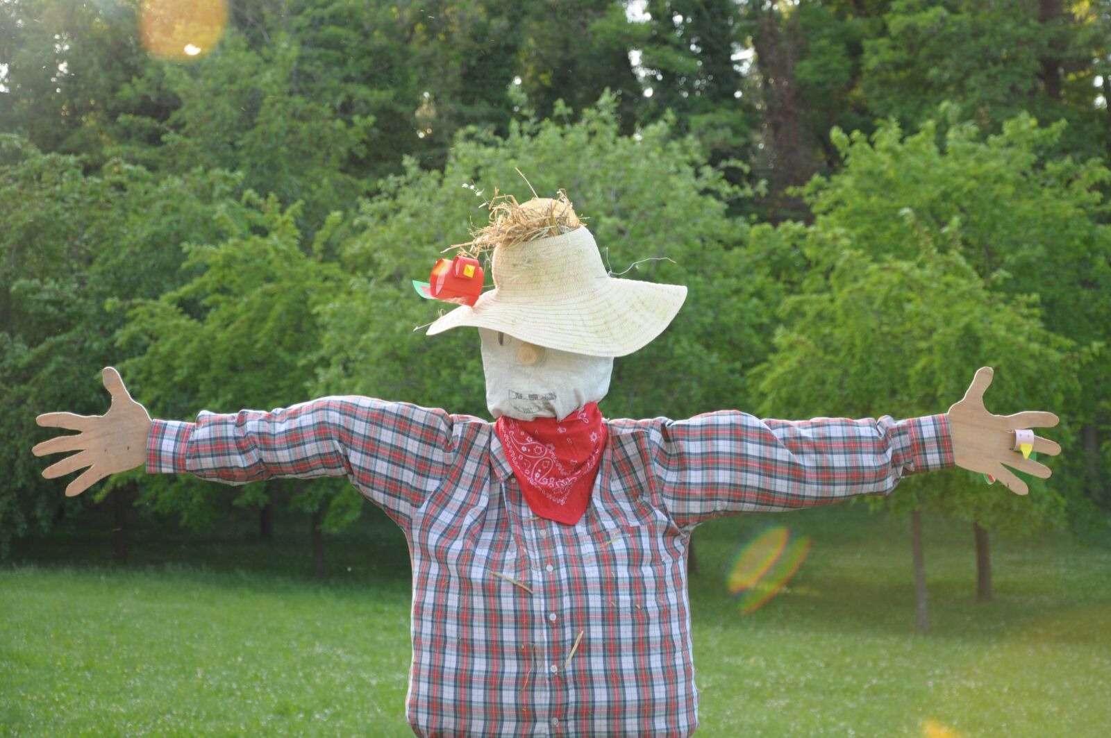 Nikon D90 sample photo. Scarecrow, green, children photography