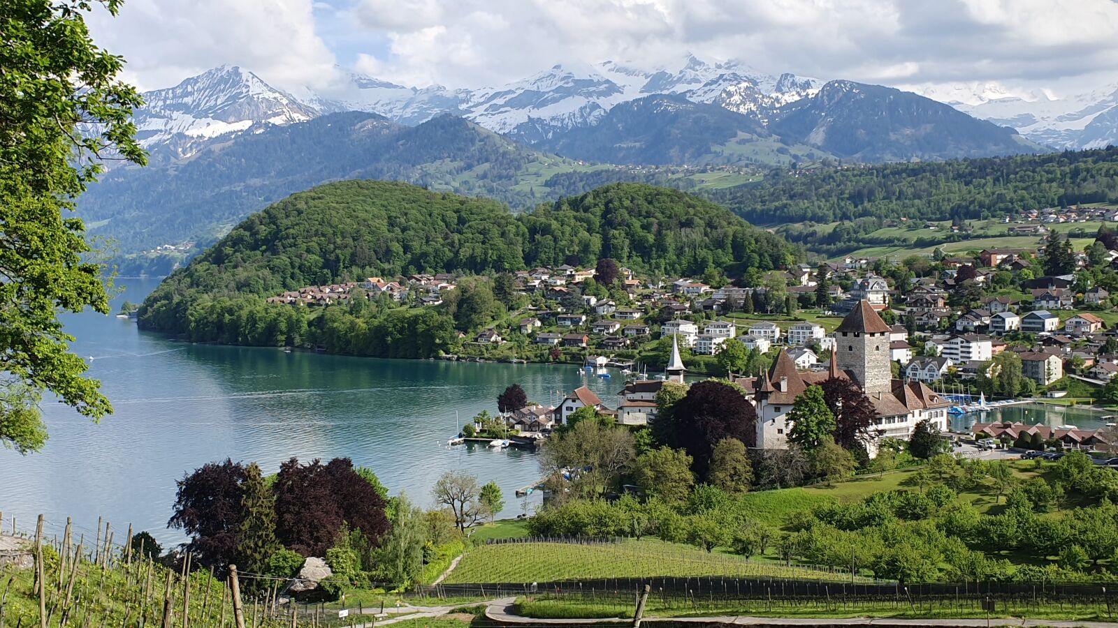 Samsung Galaxy S10 sample photo. Spiez, lake thun, mountains photography