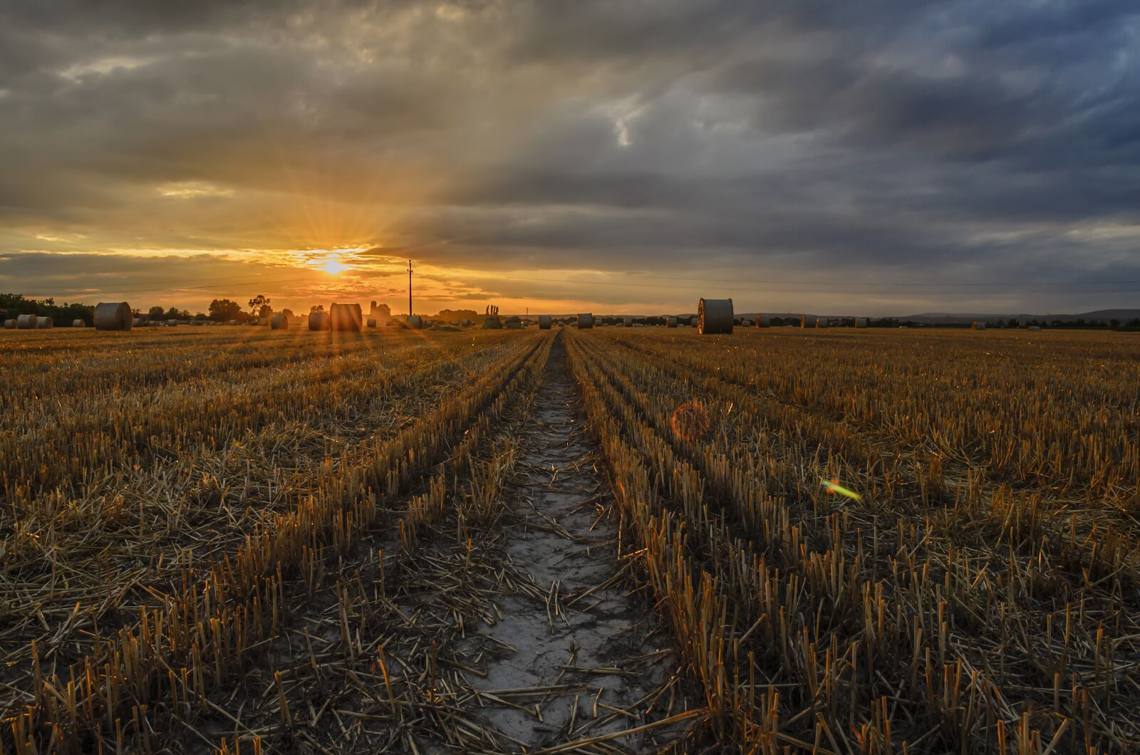 Nikon D5100 sample photo. Sunset, field, sunlight photography