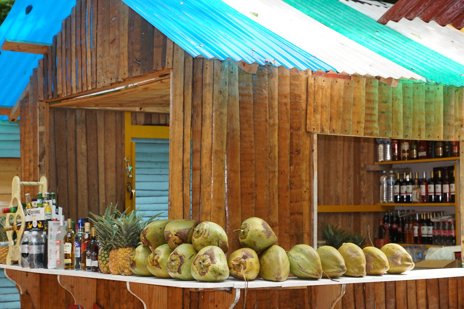 Sony DT 16-50mm F2.8 SSM sample photo. Coconut, bar, caribbean photography