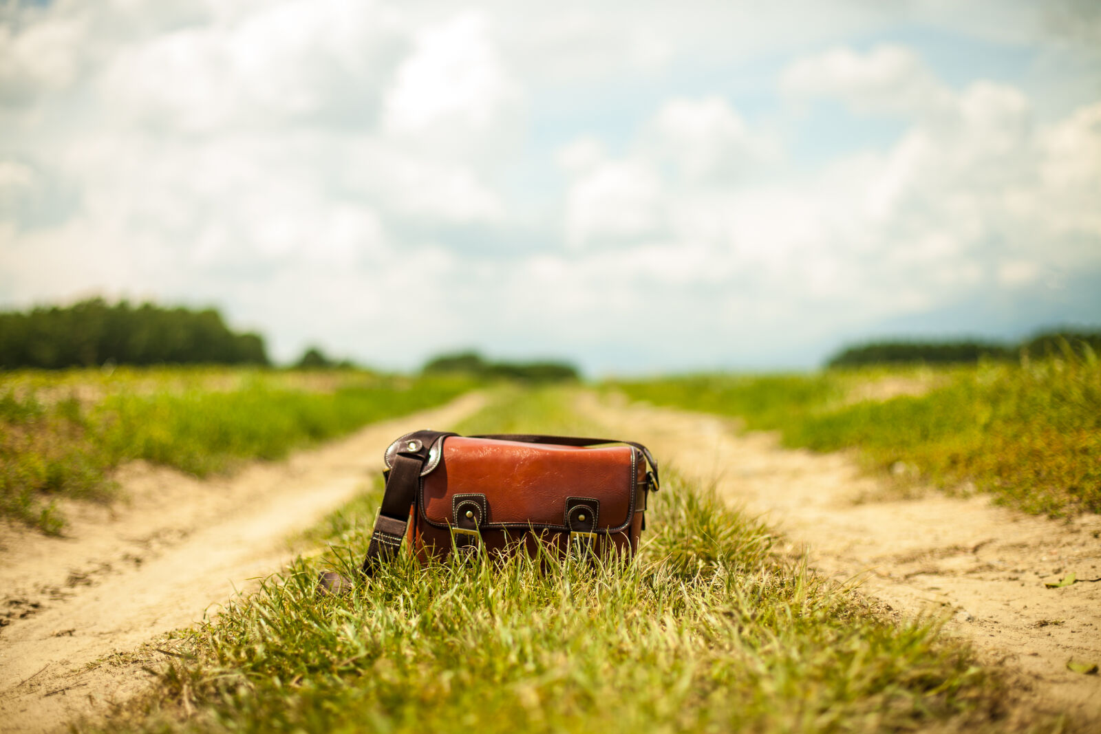 Canon EOS 5D Mark II sample photo. Bag, country, lane, fashion photography