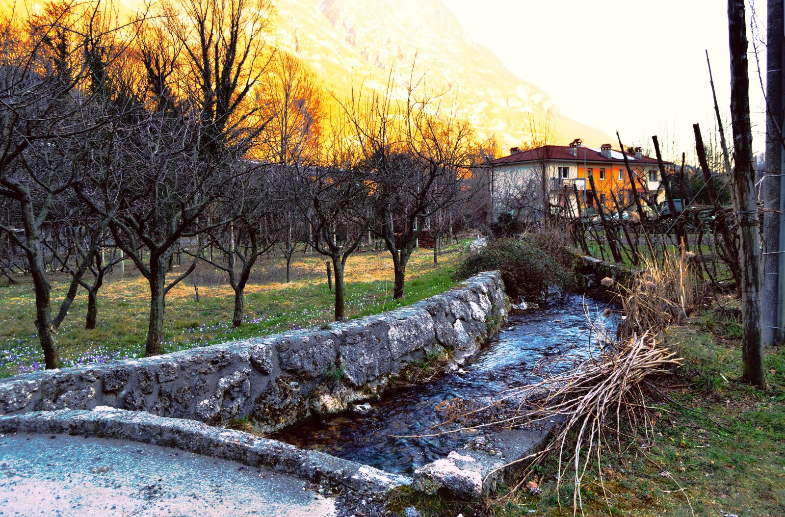 Nikon D5100 sample photo. Campaign, winter, trees photography