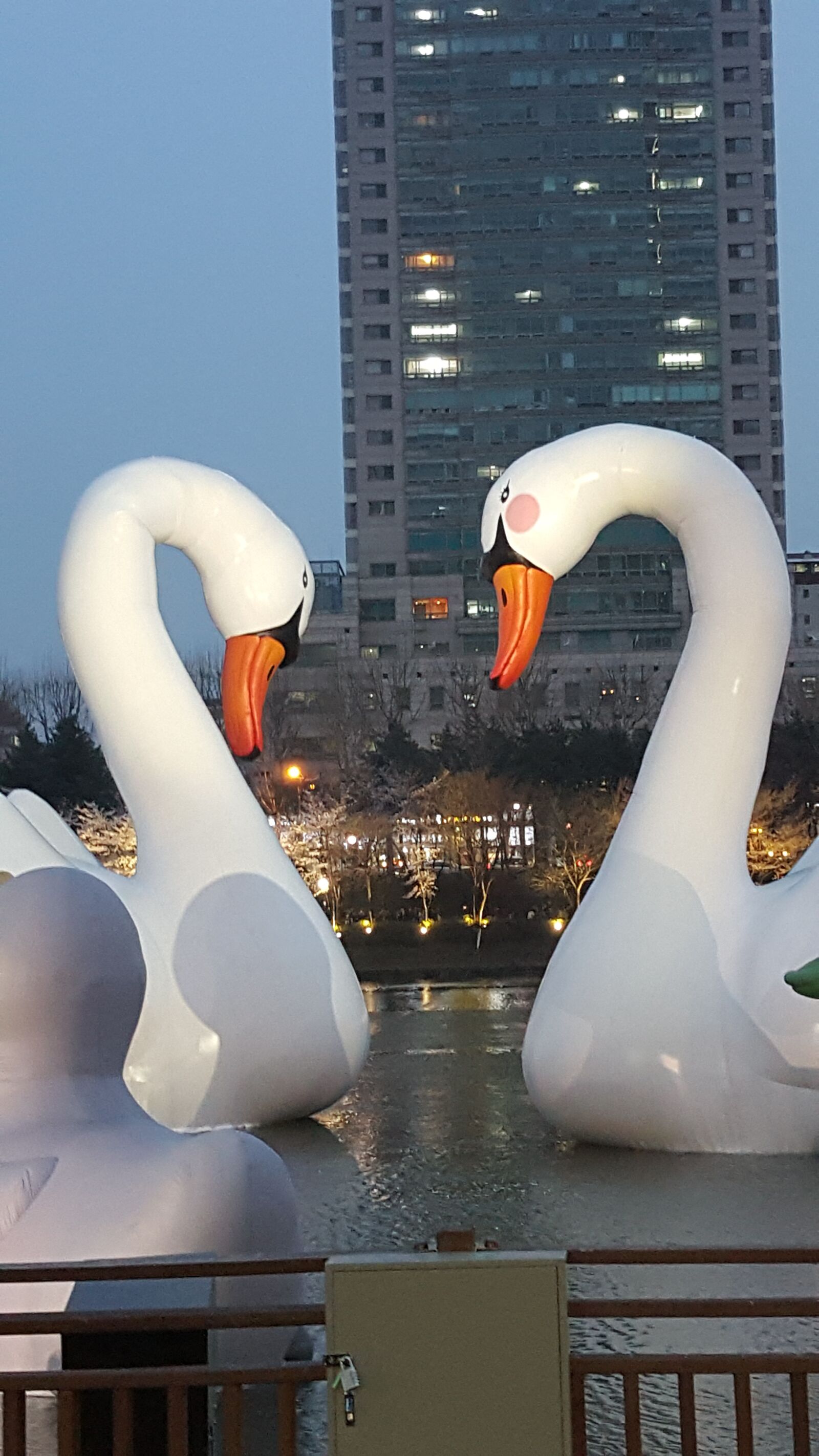 Samsung Galaxy Note5 sample photo. Duck to, hart, teal photography
