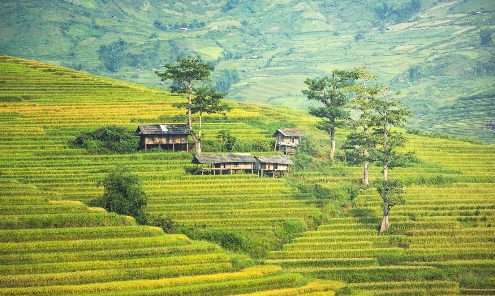 Nikon D810 sample photo. The village, agriculture, canyons photography