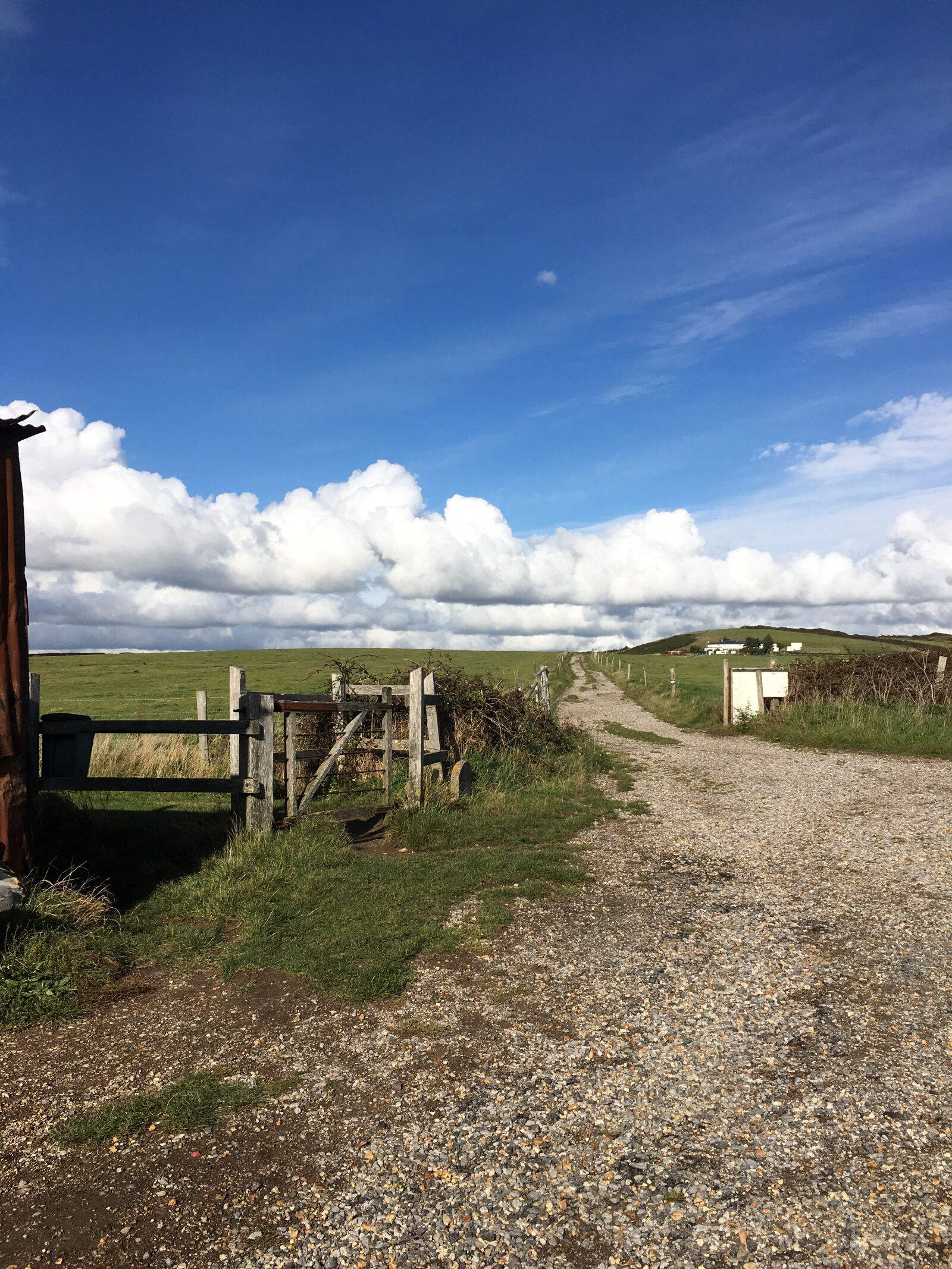 Apple iPhone 6s sample photo. Coastal path, chickerell, dorset photography