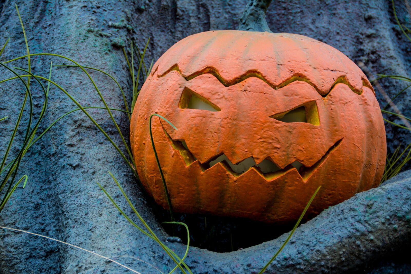 Nikon D7100 sample photo. Halloween, autumn, pumpkin photography