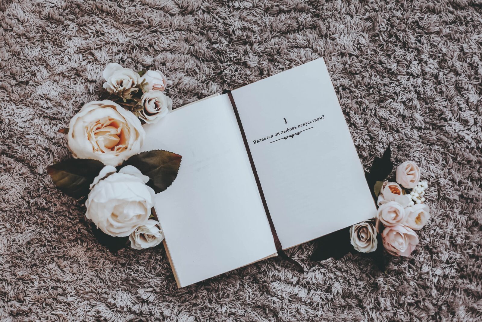 Canon EF 50mm F1.8 II sample photo. Book, mood, fairytale photography