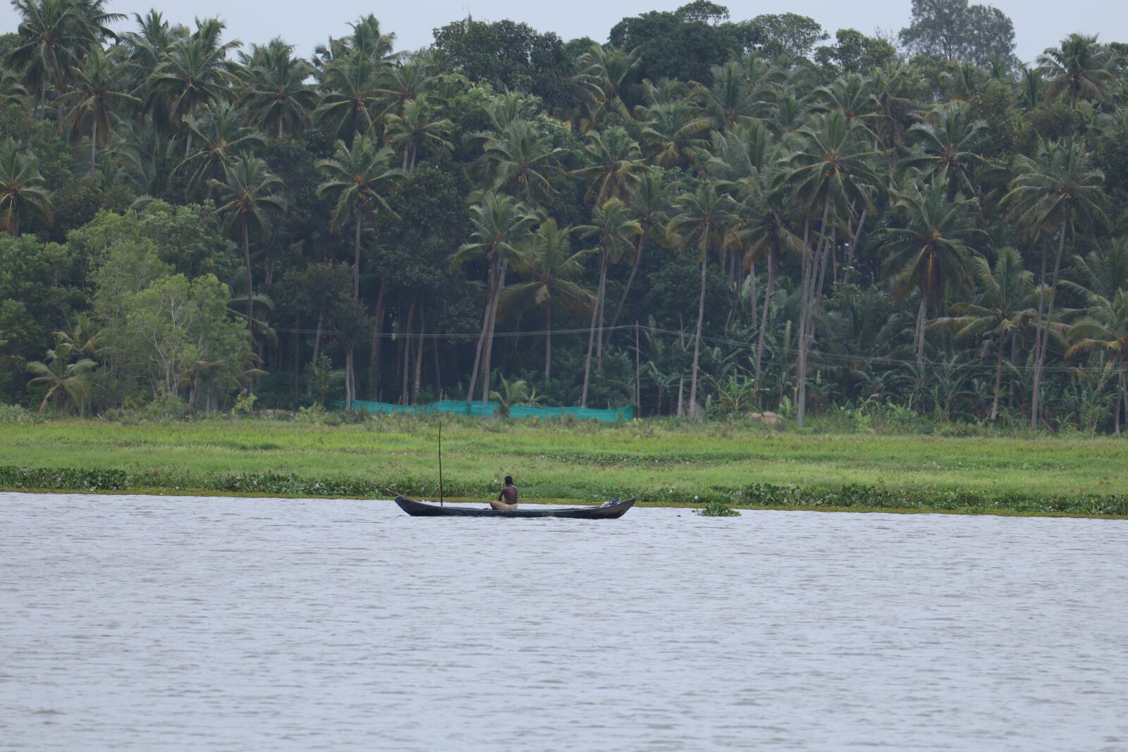 Canon EF-S 55-250mm F4-5.6 IS STM sample photo. Kerala, nature, landscape photography