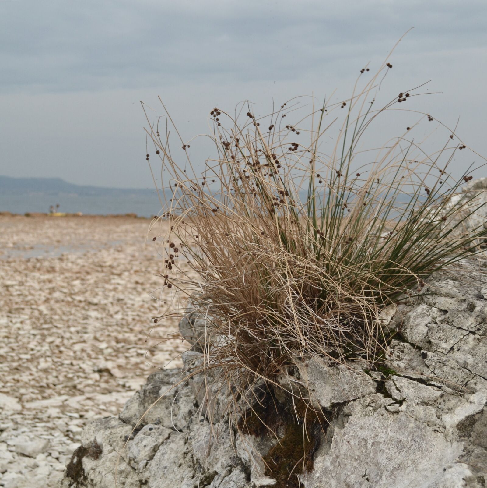 Nikon D3100 sample photo. Lake, nature, water photography