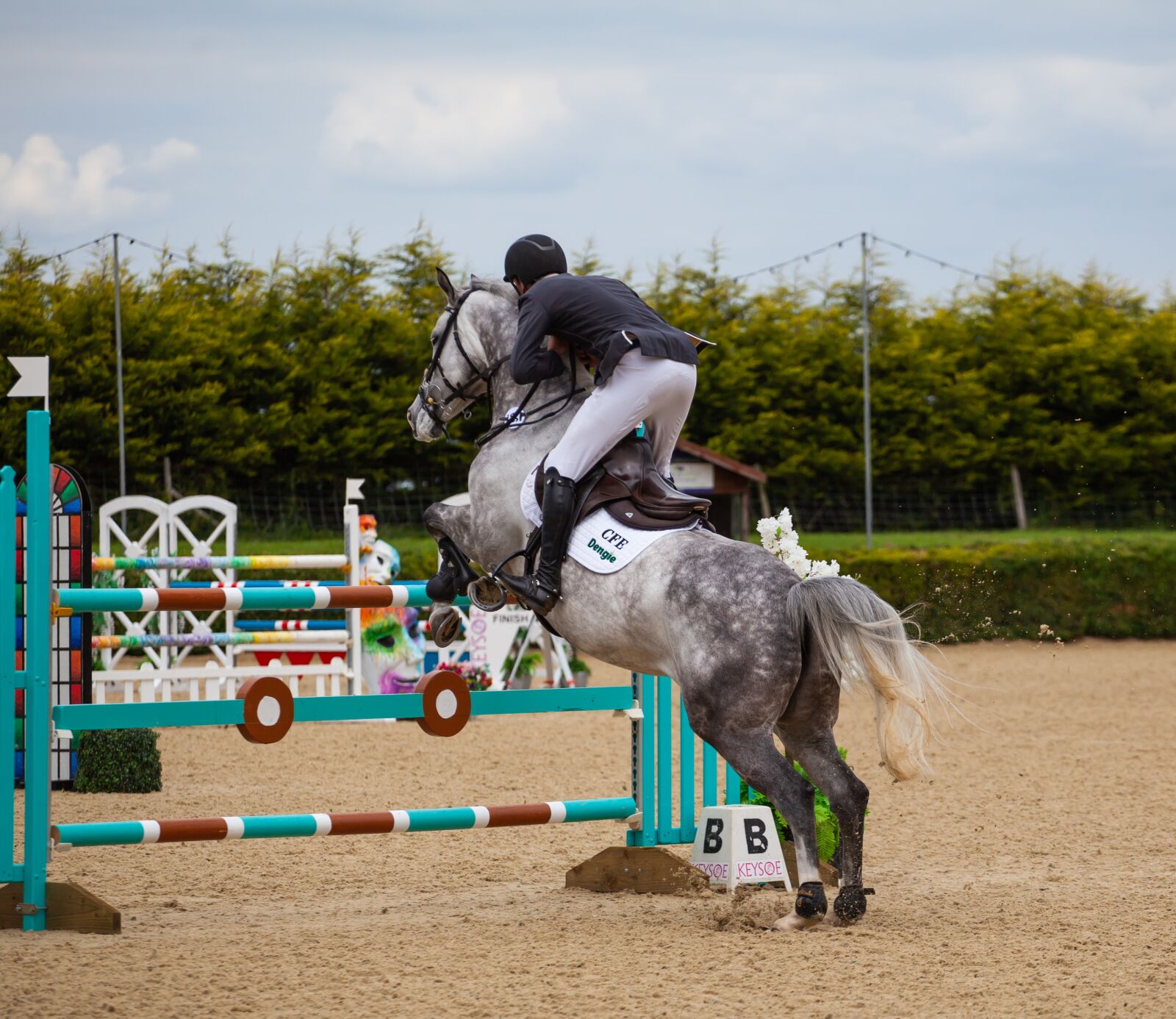 Canon EF 70-200mm F4L USM sample photo. Horse jumping, jumping, equestrian photography