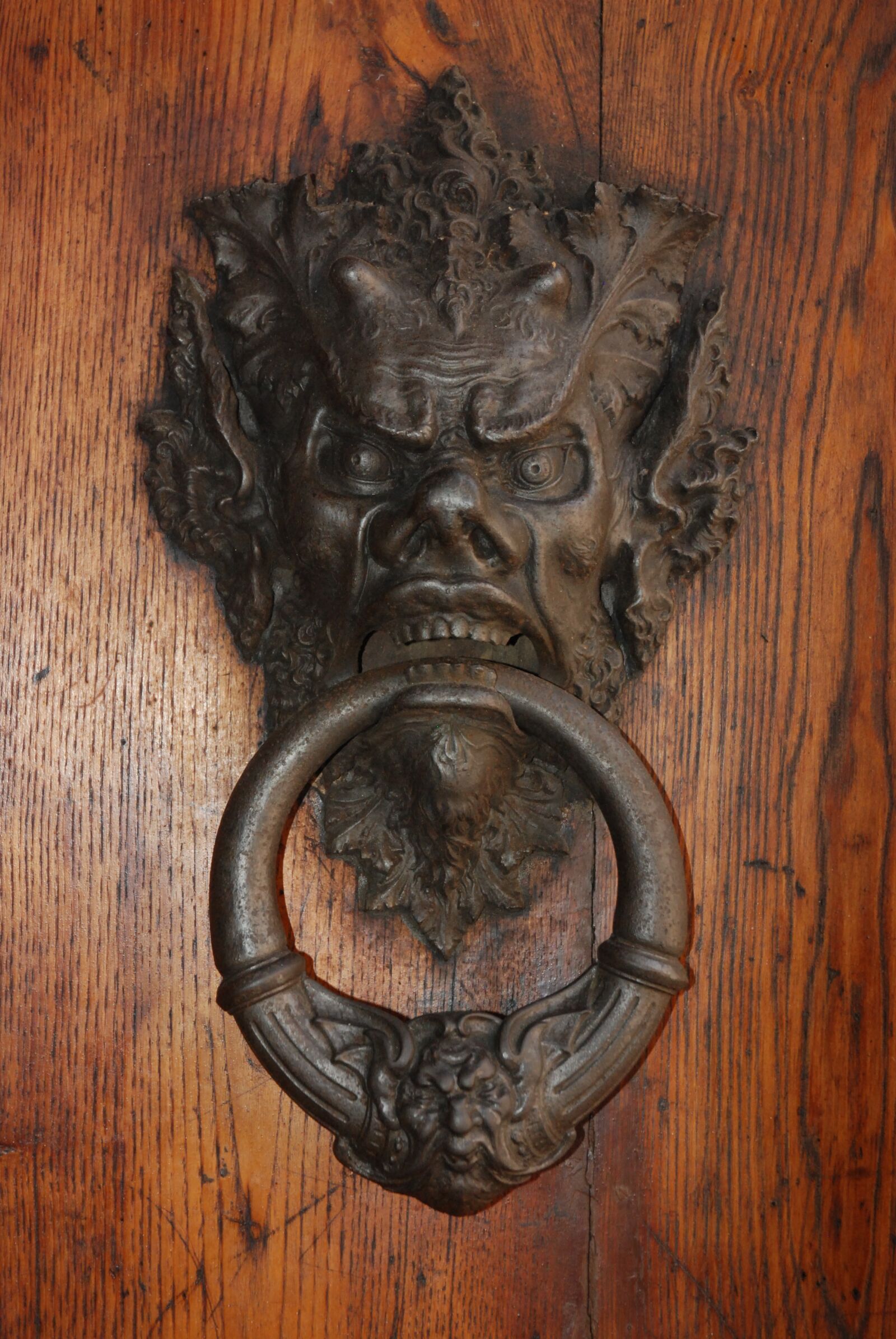 Nikon D80 sample photo. Architecture, door knocker, entrance photography