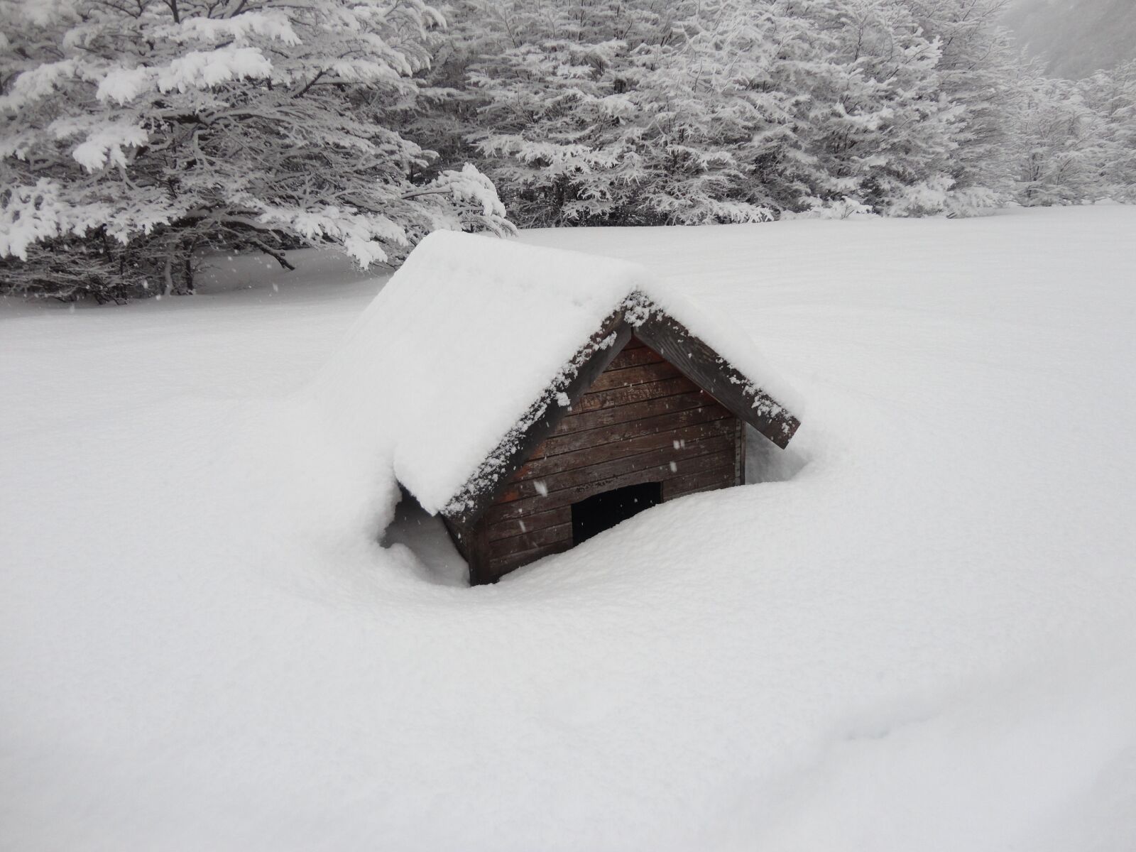 Sony Cyber-shot DSC-W570 sample photo. Snow, holidays, tourism photography