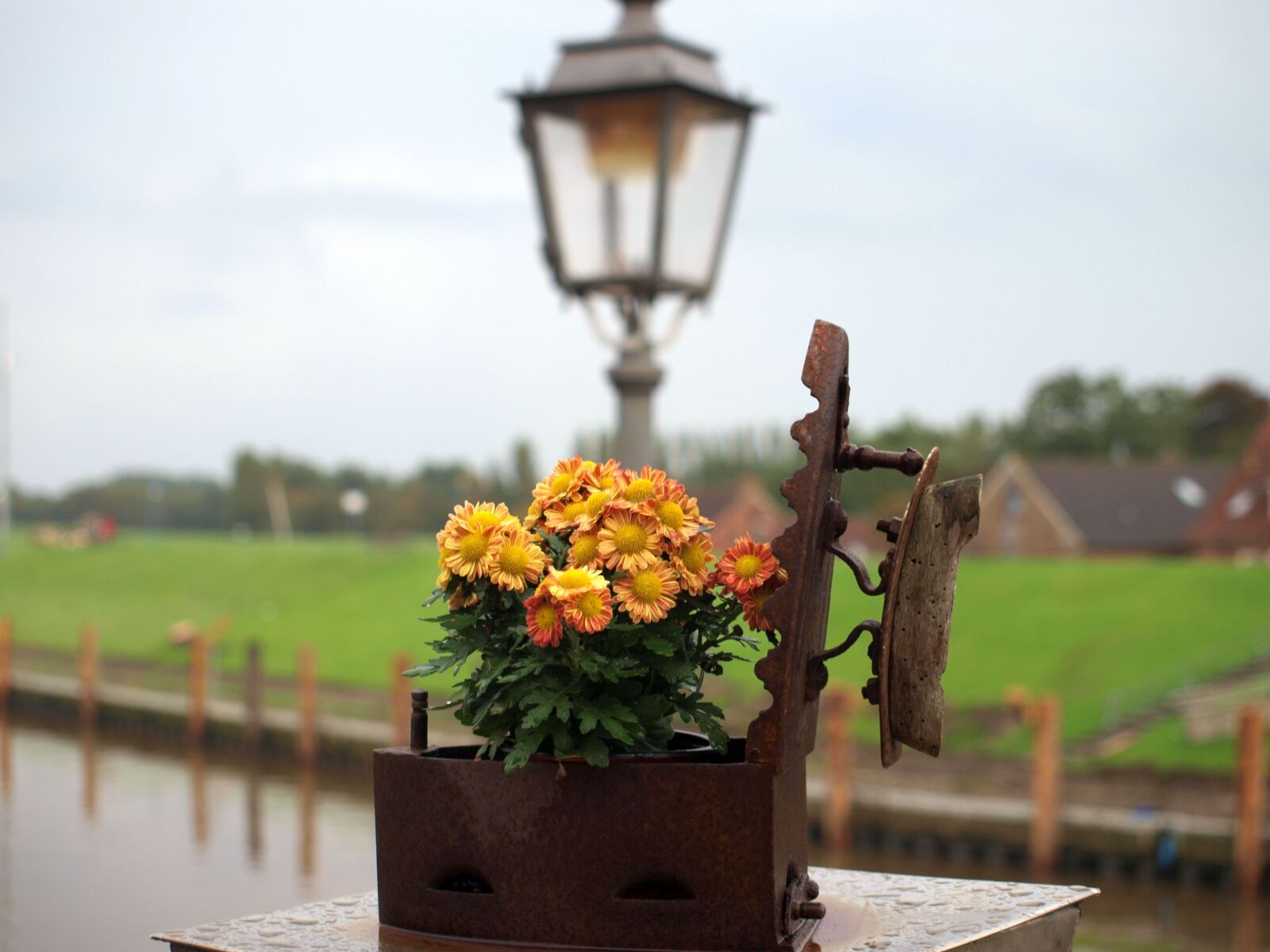 Olympus E-420 (EVOLT E-420) sample photo. Flower, deco, greetsiel photography