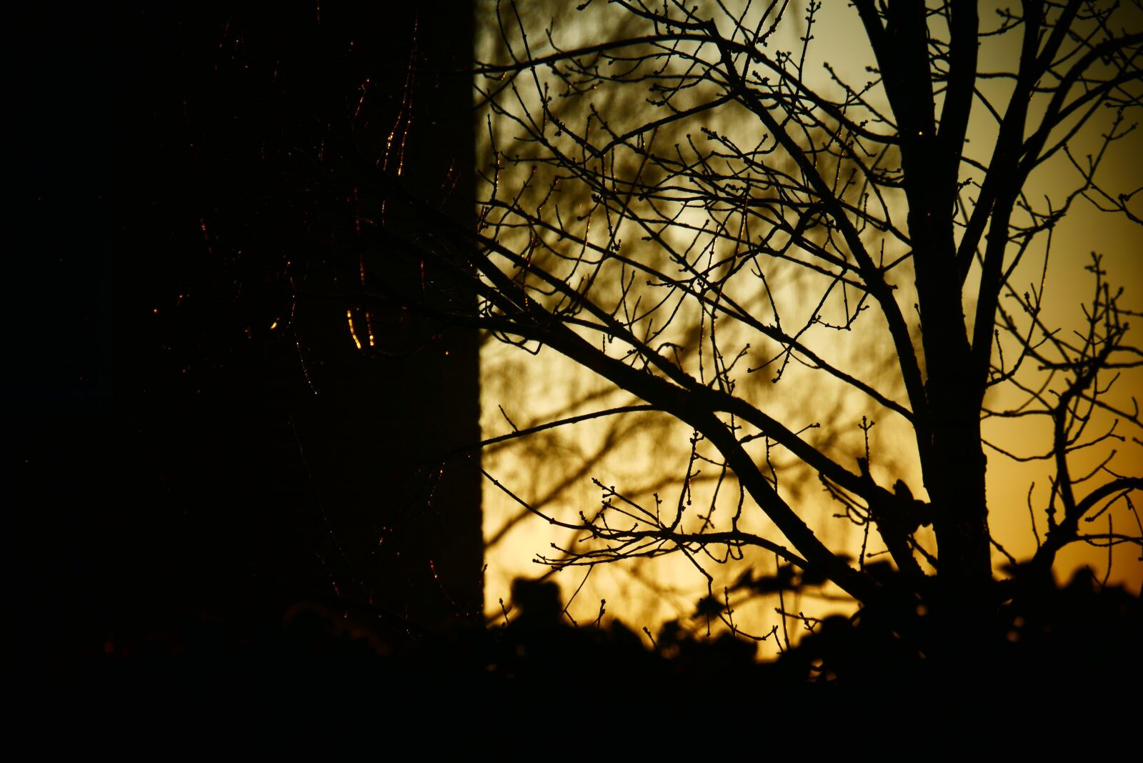 Panasonic Lumix DMC-G85 (Lumix DMC-G80) sample photo. Morning, tomorrow, ochtendstemming photography