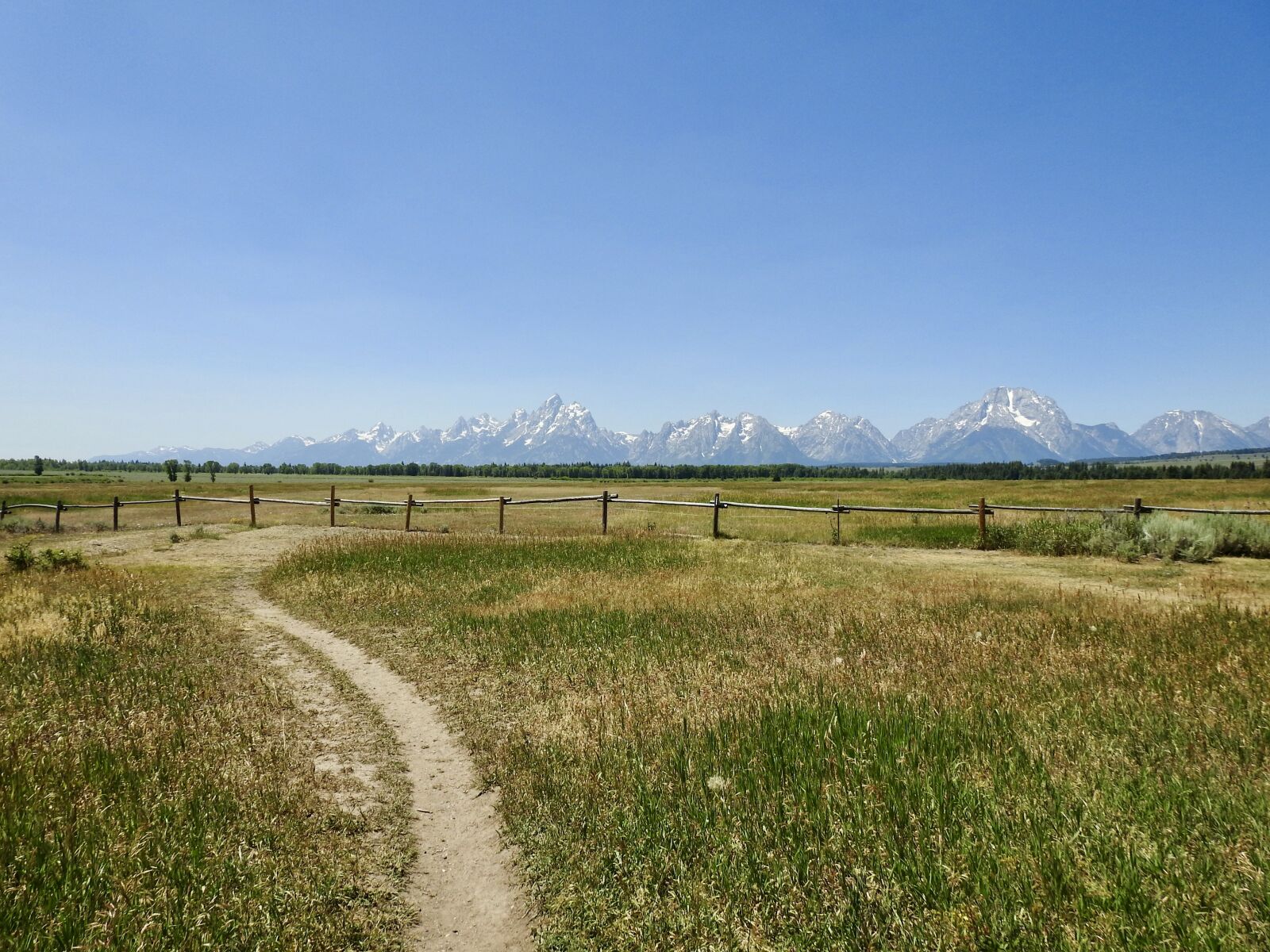 Nikon Coolpix P900 sample photo. Grand teton, national park photography