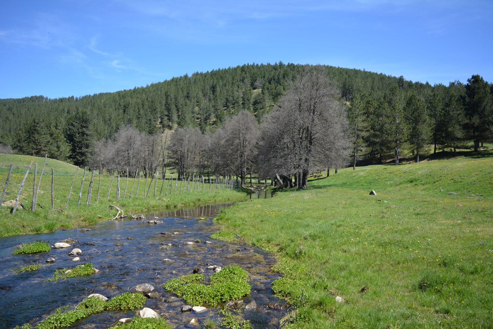 Nikon D5200 sample photo. Landscape, sila, spring photography