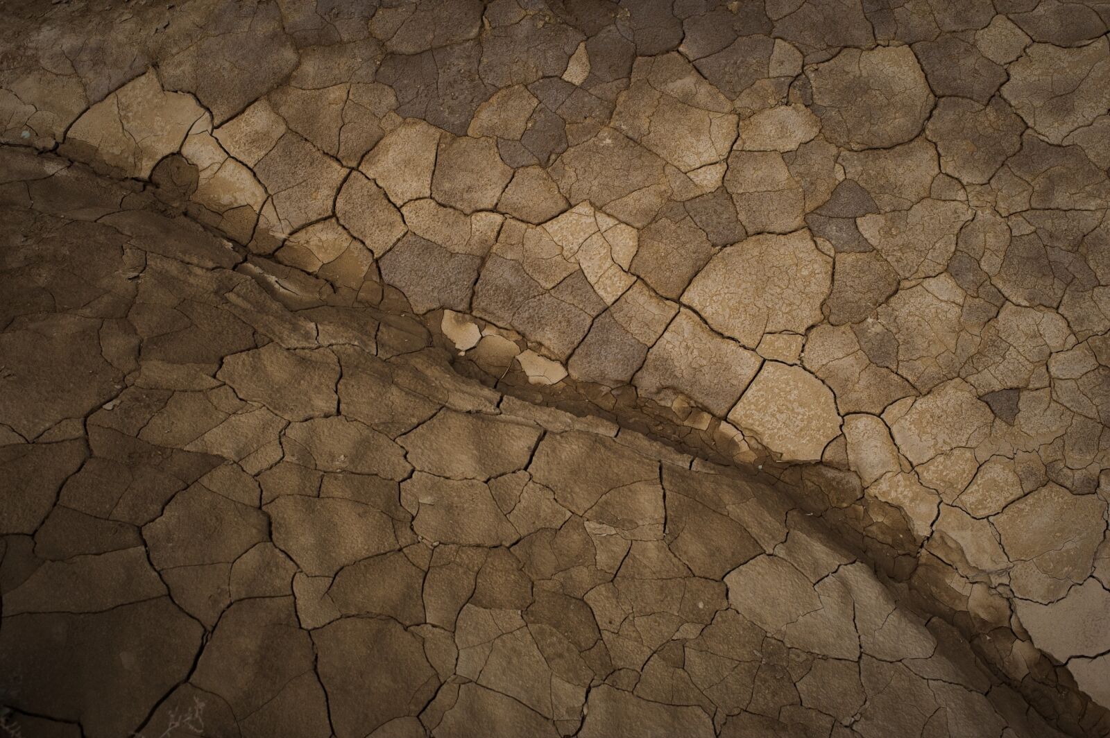 Nikon D700 sample photo. Desert, earth, drought photography