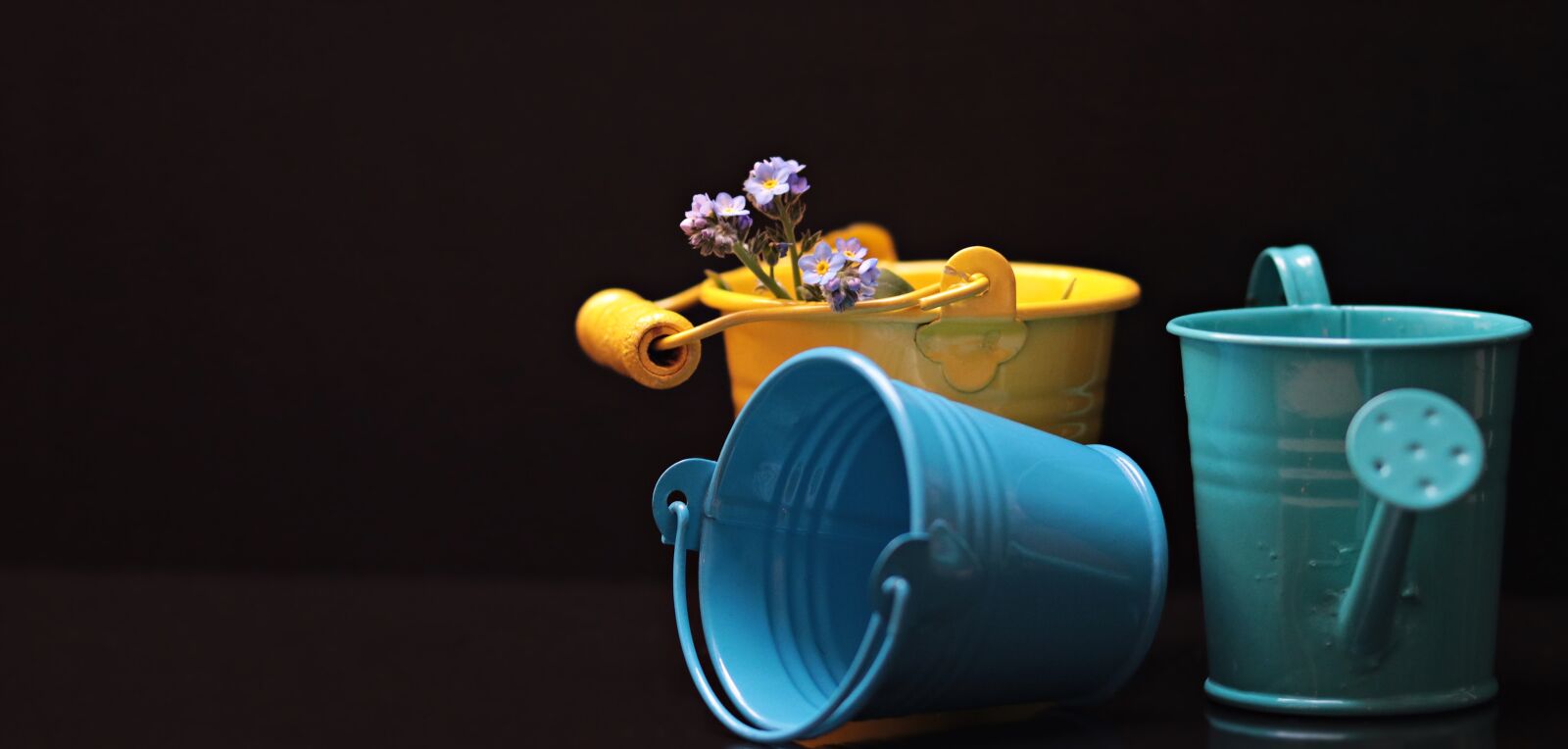 Canon EOS 80D sample photo. Bucket, forget me not photography