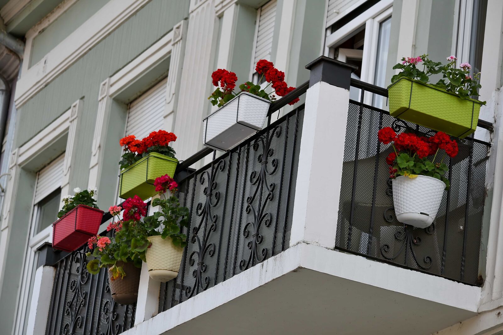 Nikon D5500 sample photo. Balcony, flowerpot, urban area photography