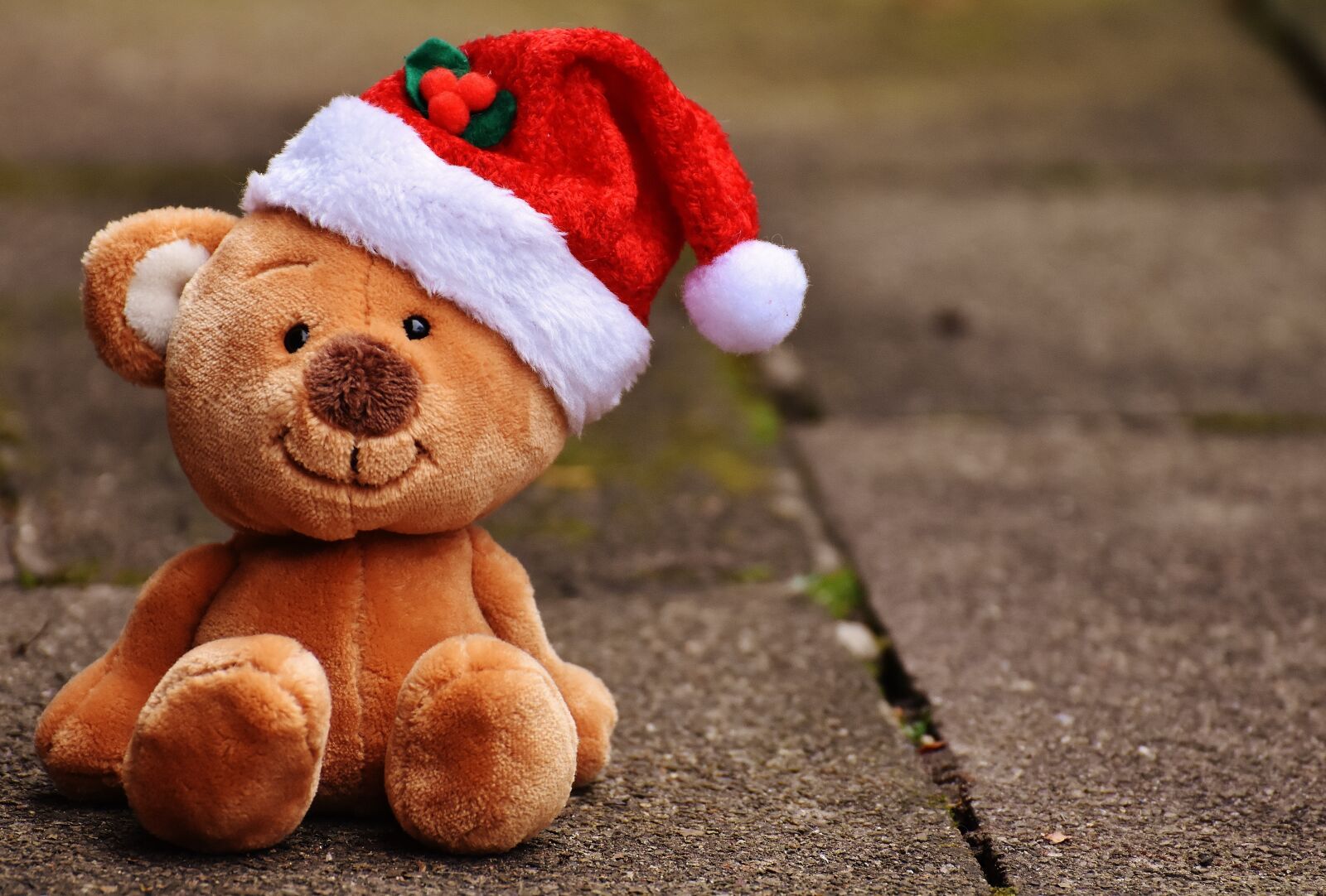 Nikon D7200 sample photo. Christmas, teddy, soft toy photography