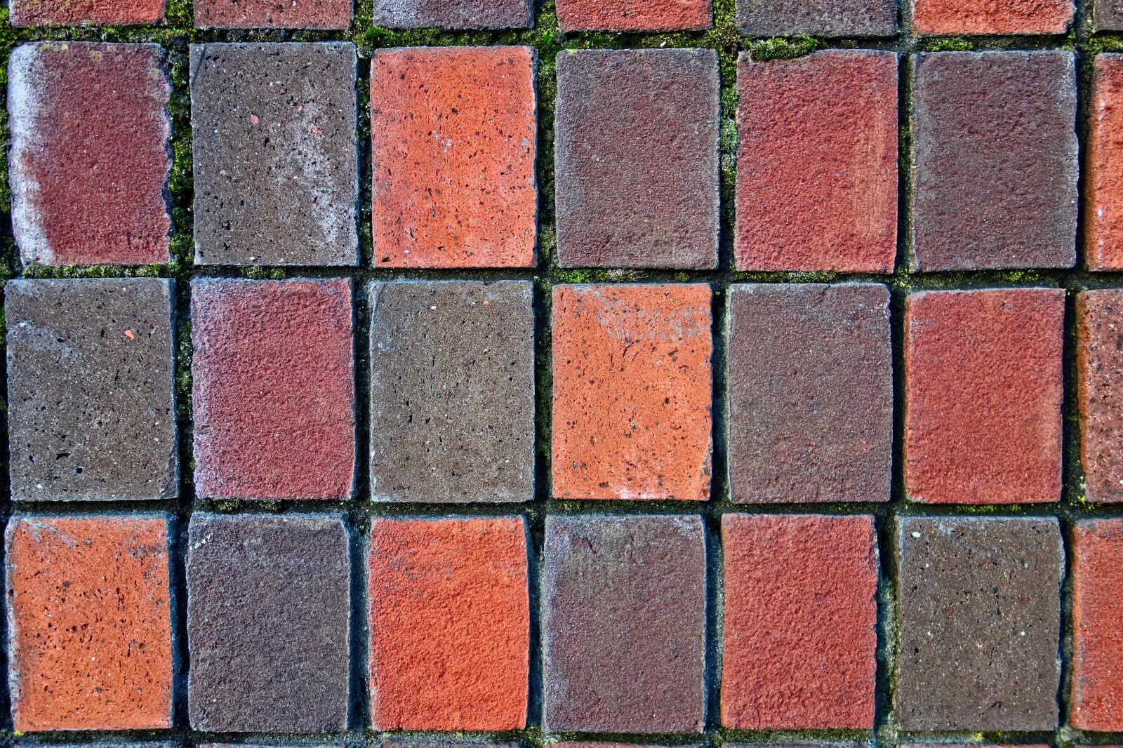 Sony Cyber-shot DSC-RX100 sample photo. Brick wall, wall, brick photography