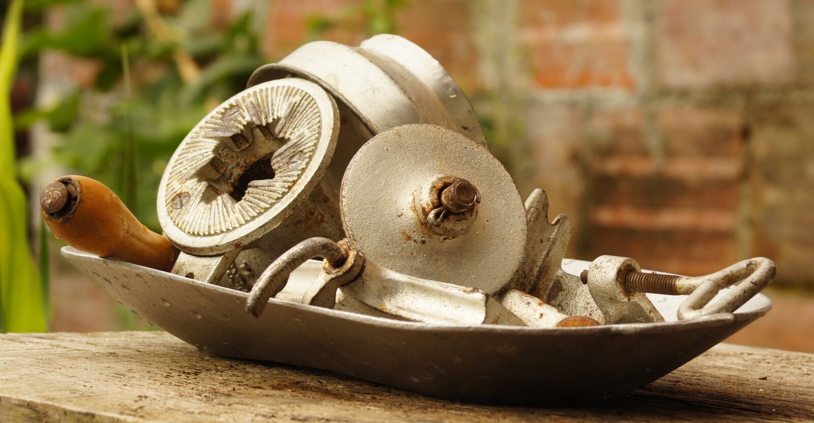 Sony SLT-A55 (SLT-A55V) sample photo. Mill, disposer, grain photography