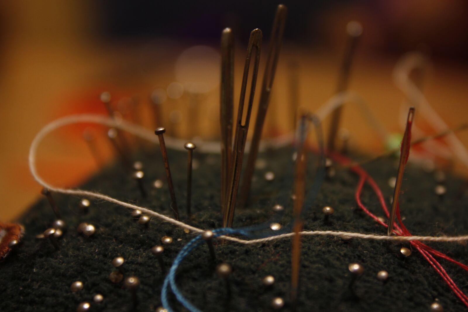 Canon EOS 550D (EOS Rebel T2i / EOS Kiss X4) sample photo. Needle, pad, sewing photography