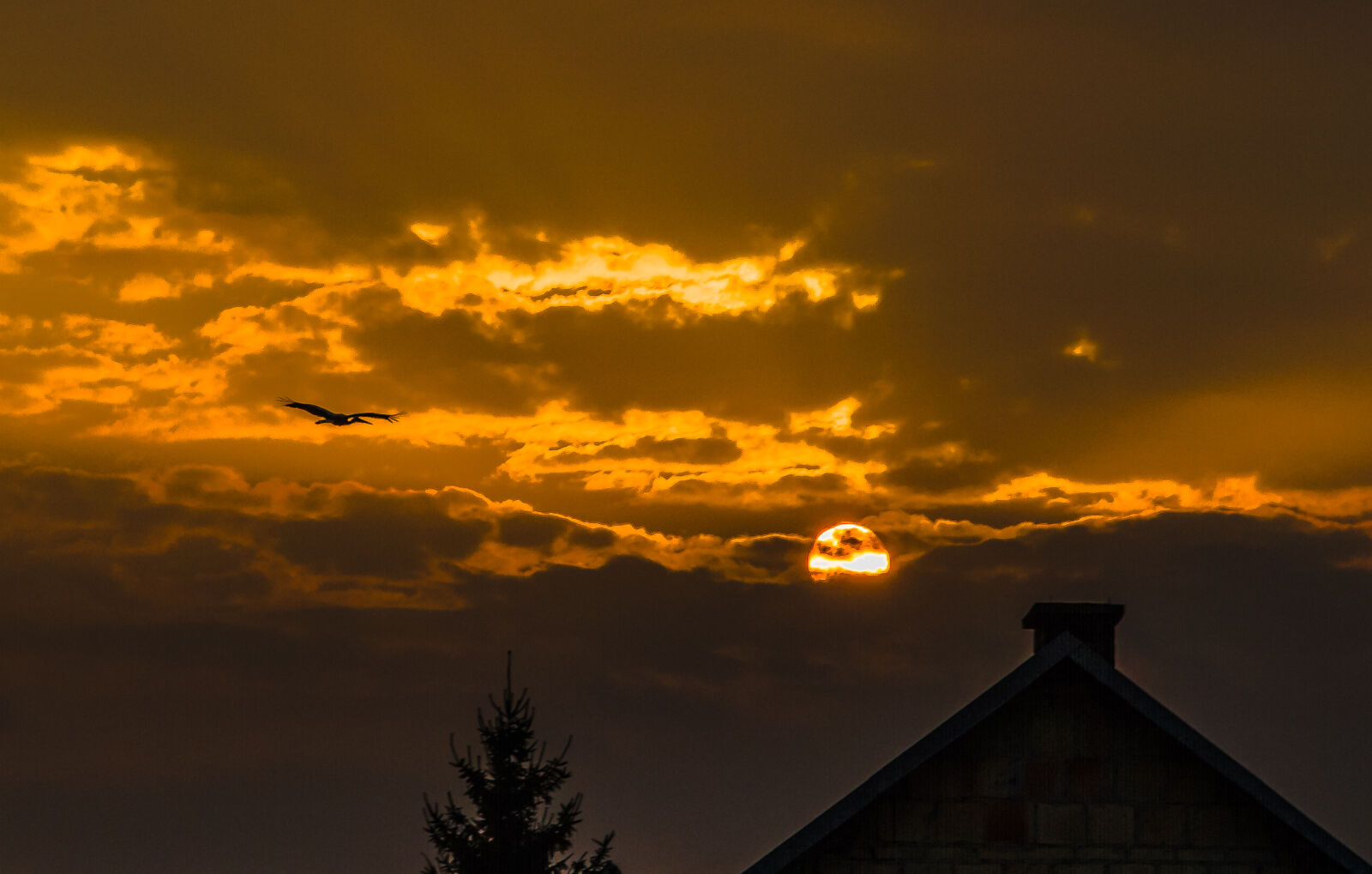 Canon EOS 7D + Sigma 17-70mm F2.8-4 DC Macro OS HSM sample photo. Clouds, roof, stork, sun photography