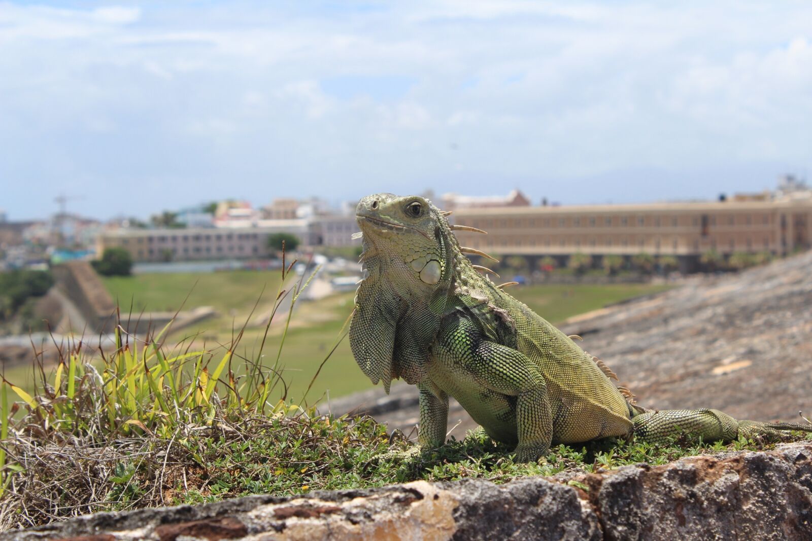 Canon EOS 1200D (EOS Rebel T5 / EOS Kiss X70 / EOS Hi) sample photo. San juan, puerto rico photography