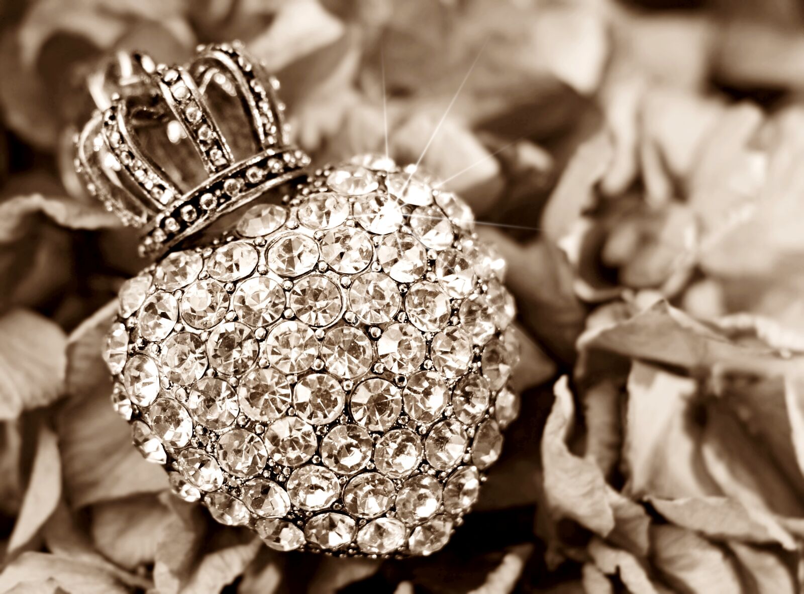 Canon EOS 100D (EOS Rebel SL1 / EOS Kiss X7) sample photo. Heart, crown, hydrangea photography