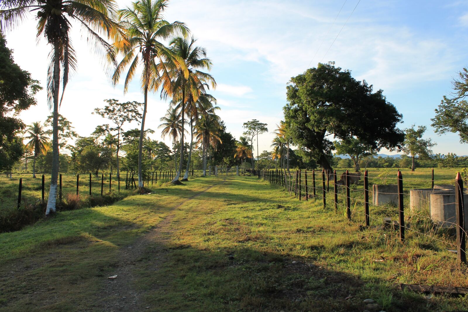 Canon EOS 1100D (EOS Rebel T3 / EOS Kiss X50) sample photo. Dawn, farm, earth photography