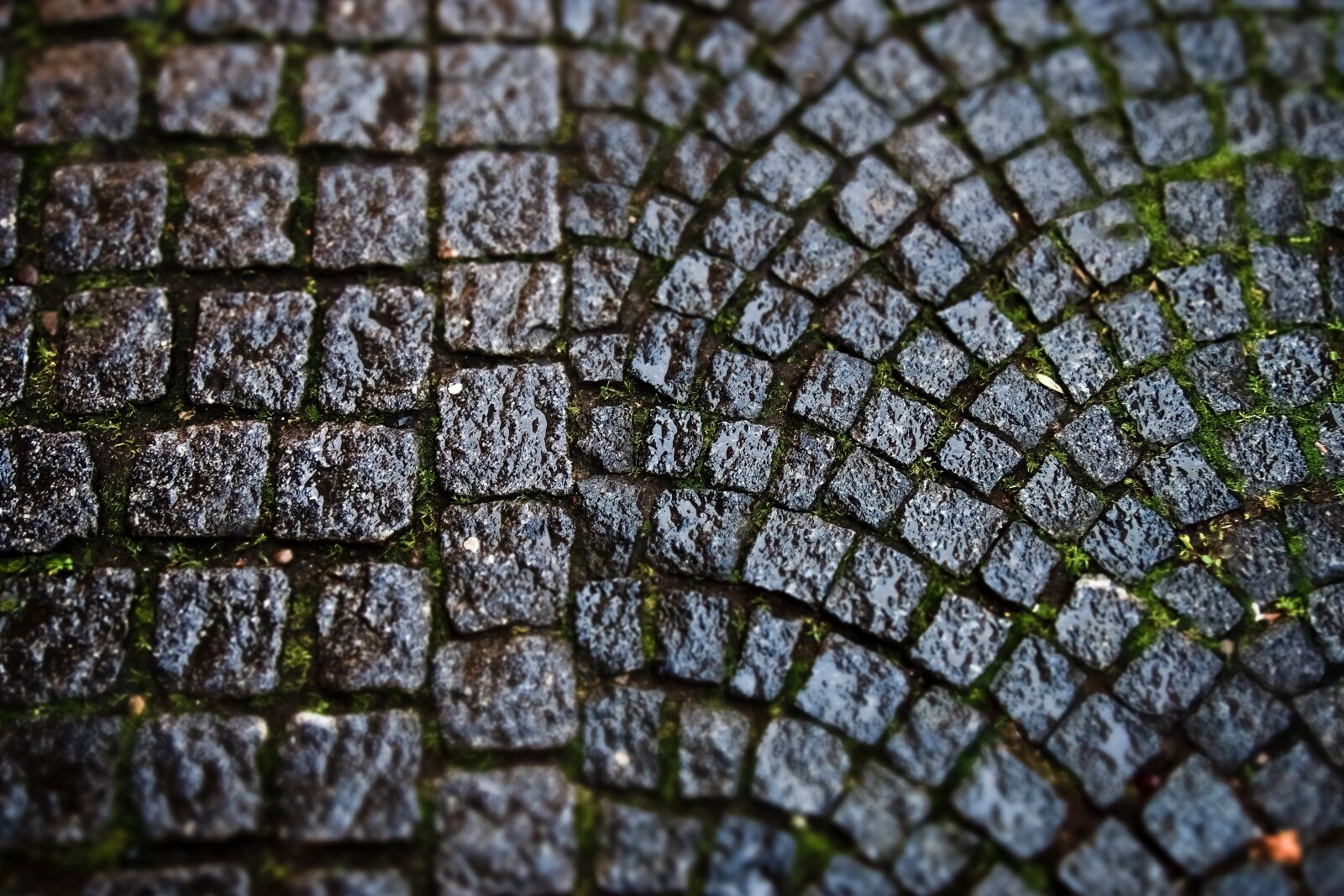 Olympus OM-D E-M10 sample photo. Road, cobblestones, paving stones photography