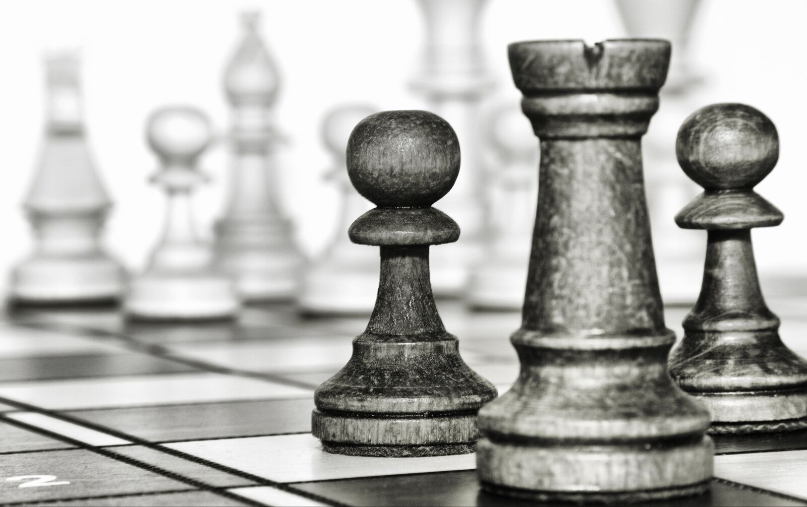 Canon EOS 500D (EOS Rebel T1i / EOS Kiss X3) sample photo. Chess, game, tower photography