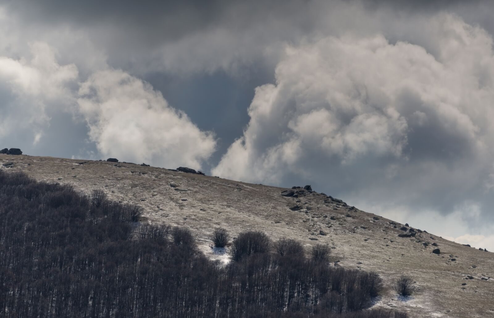 Nikon D750 sample photo. Mountain, green, snow photography