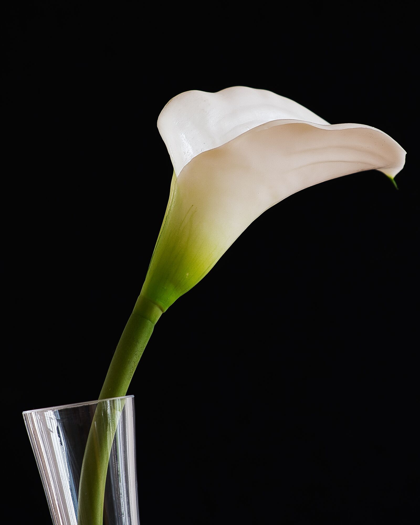 Fujifilm X-T2 + Fujifilm XF 80mm F2.8 R LM OIS WR Macro sample photo. Calla, still life, flower photography
