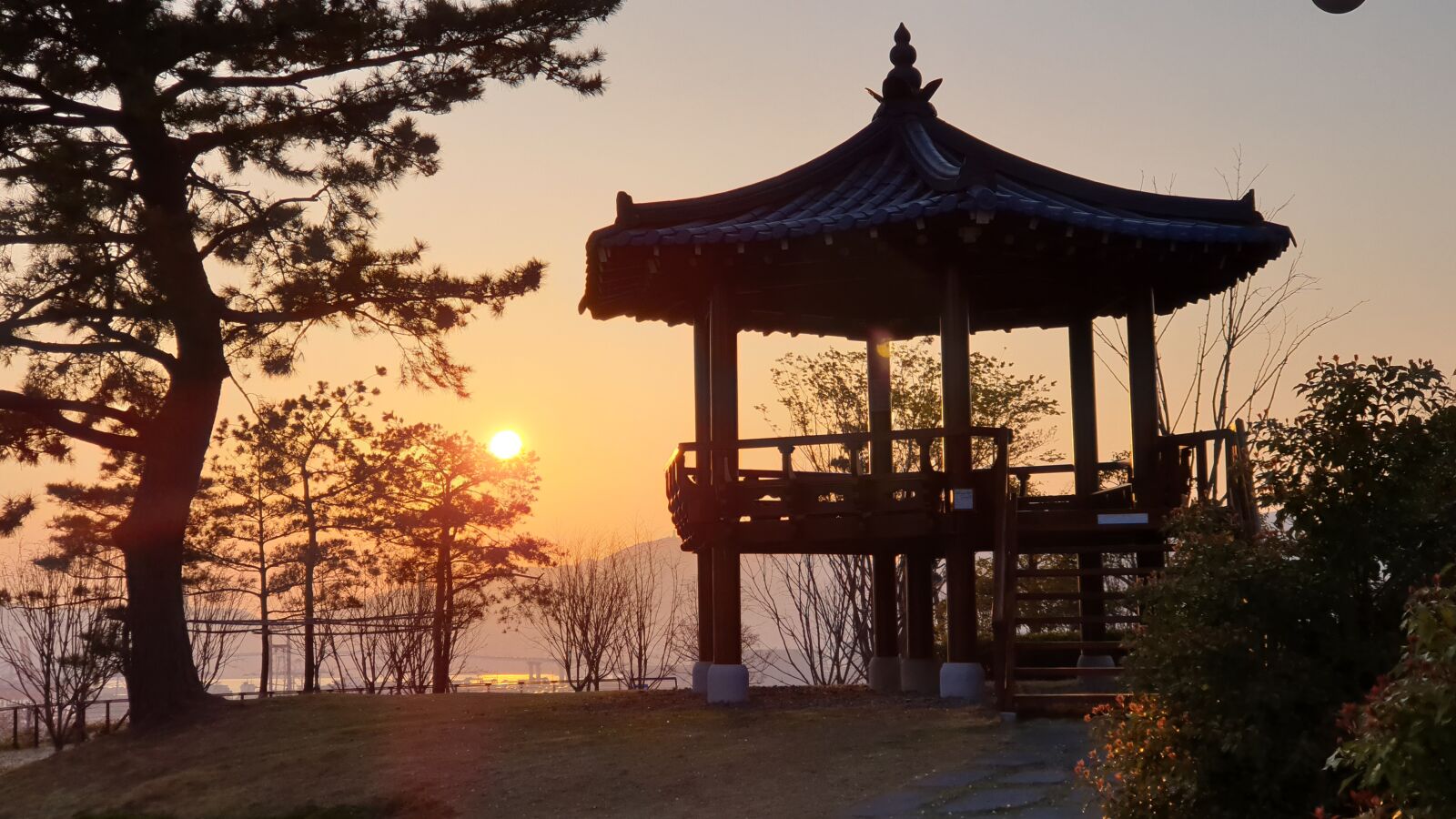Samsung Galaxy S9+ sample photo. Korea, busan, nature photography