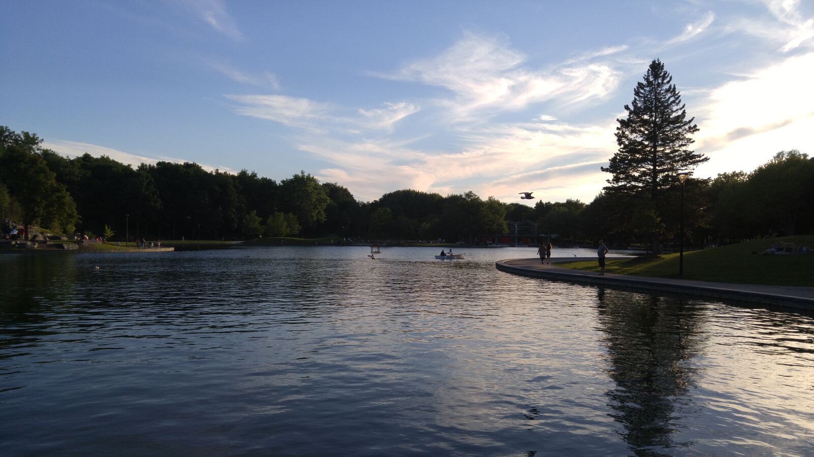 LG G4 sample photo. Water, park, landscape photography