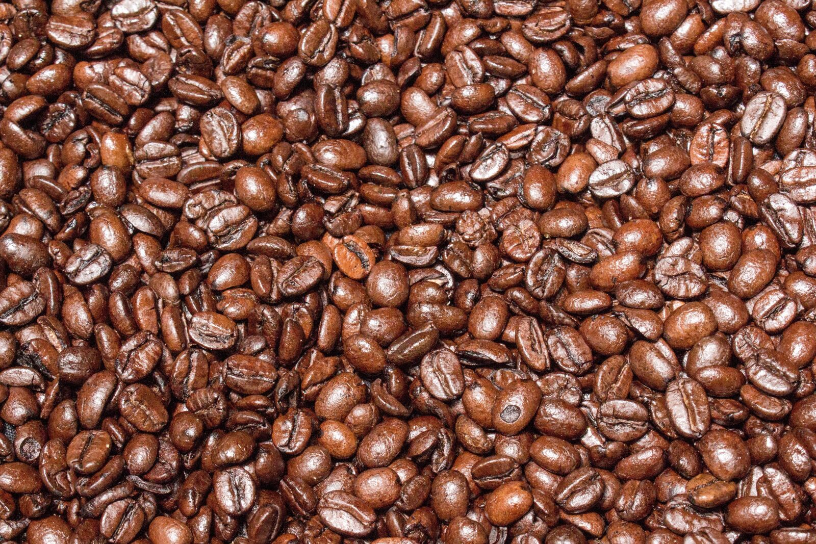 Canon EOS 700D (EOS Rebel T5i / EOS Kiss X7i) sample photo. Coffee, caffeine, espresso photography