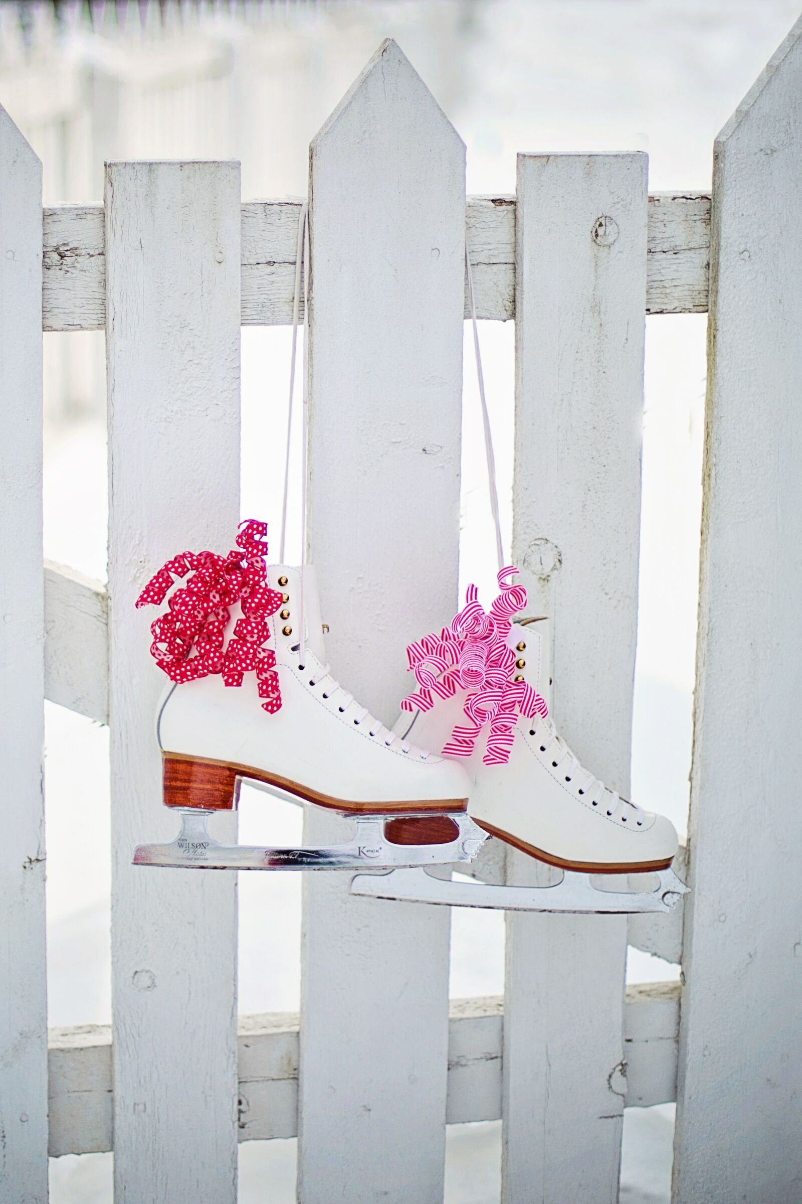 Canon EF 50mm F1.4 USM sample photo. Ice skates, hanging, fence photography