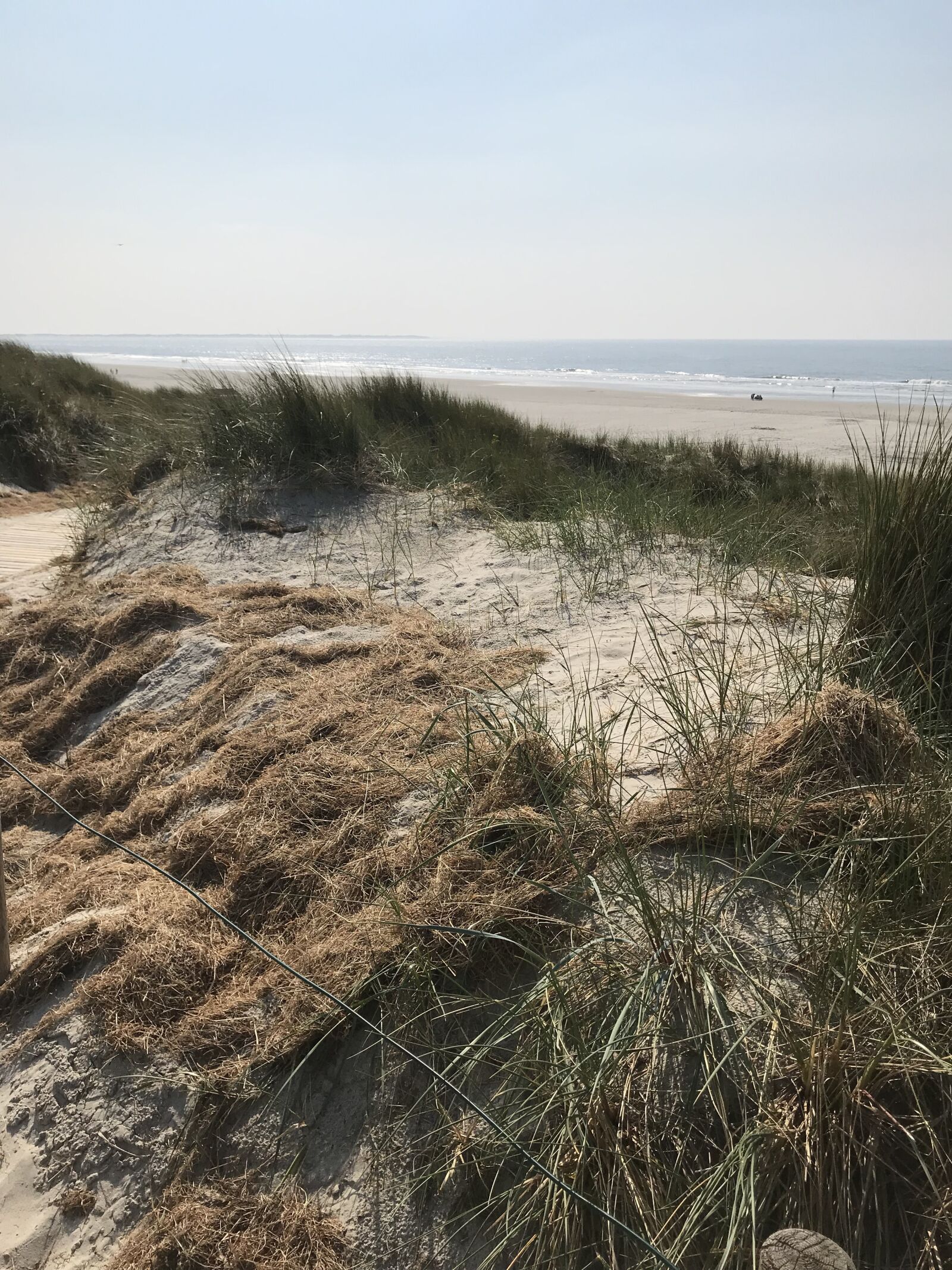 iPhone 7 back camera 3.99mm f/1.8 sample photo. North sea, beach, sand photography