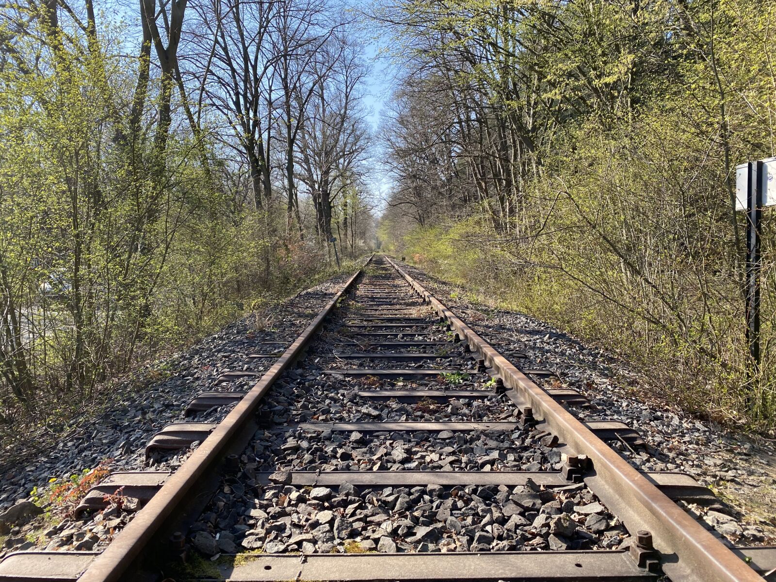Apple iPhone 11 Pro sample photo. Track, old, rails photography