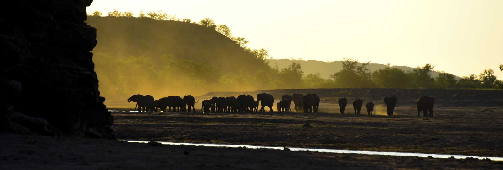 Nikon D810 sample photo. Elephant, africa, travel photography