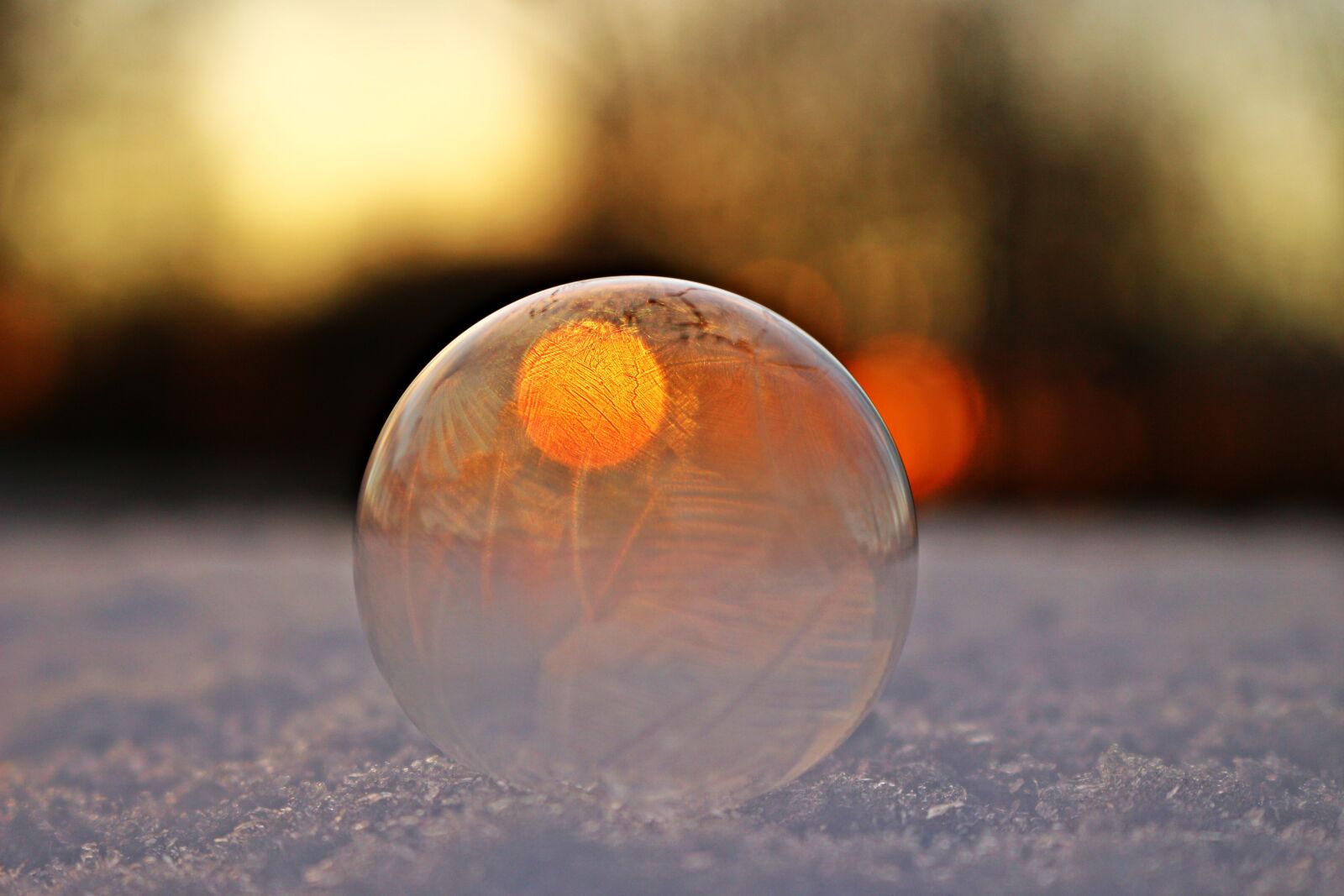 Canon EOS 100D (EOS Rebel SL1 / EOS Kiss X7) sample photo. Soap bubble, frozen, bubble photography