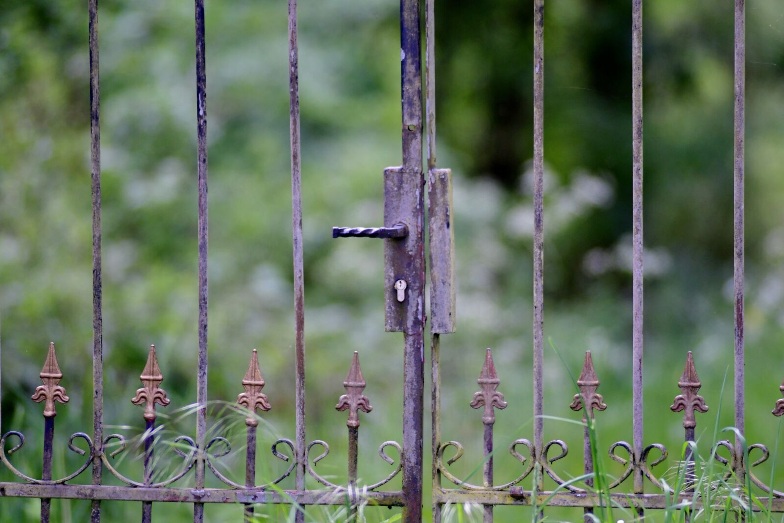 Nikon D500 sample photo. Fence, klink, posts photography